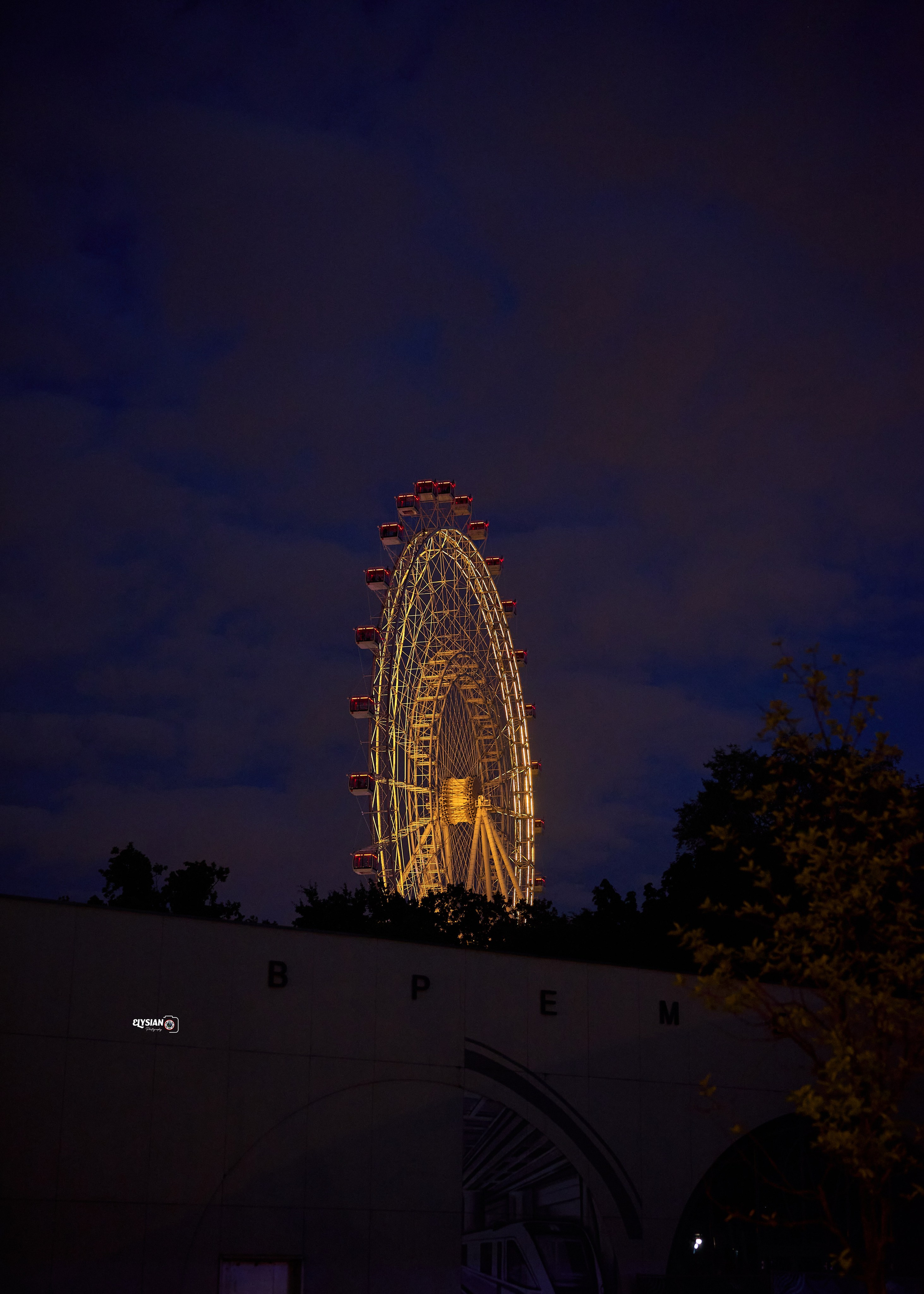 Nature. Hi, I’m Dairo James of  The Elysian Photography! I capture genuine moments across weddings, events, and portraits in Moscow