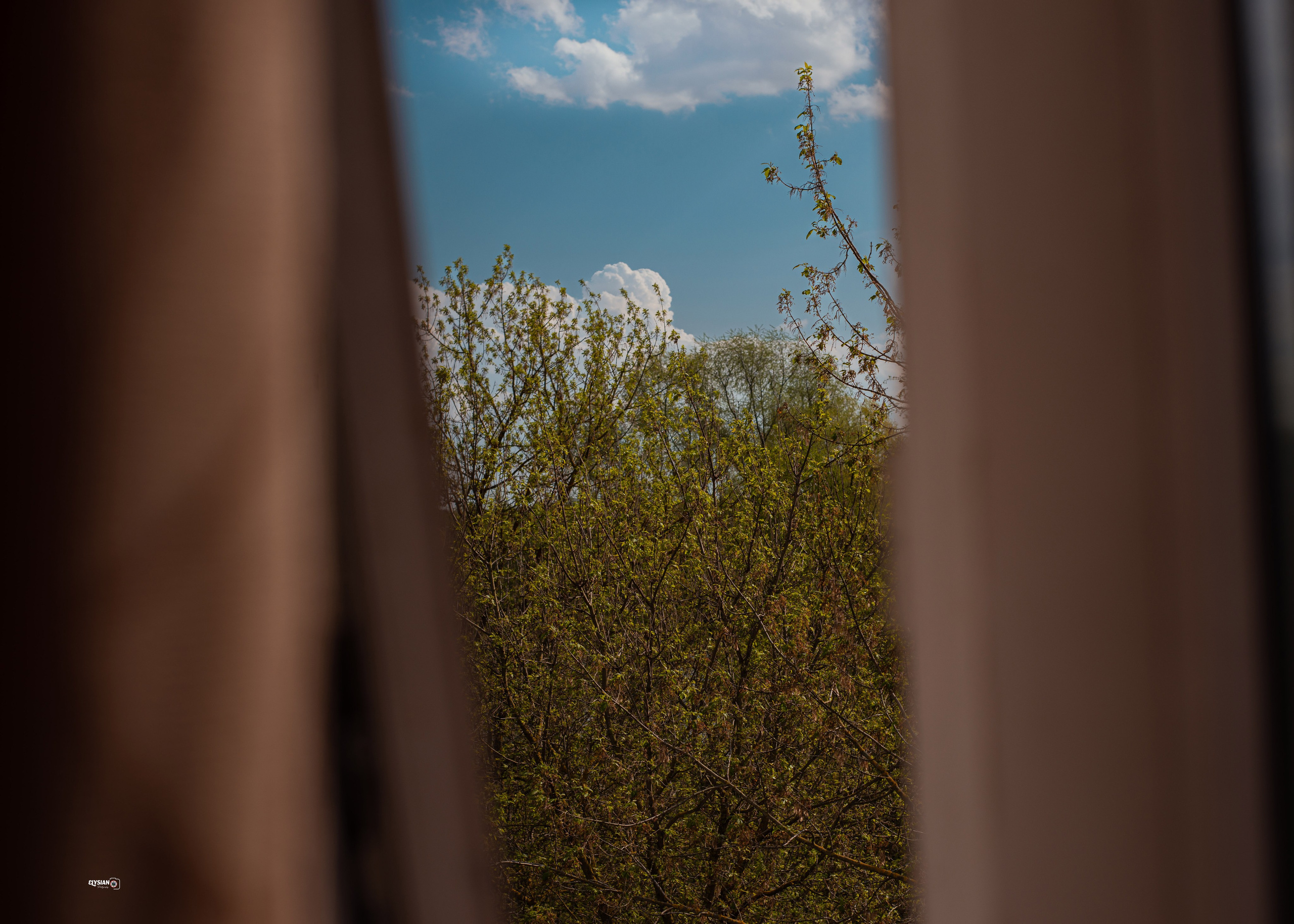 Nature. Hi, I’m Dairo James of  The Elysian Photography! I capture genuine moments across weddings, events, and portraits in Moscow