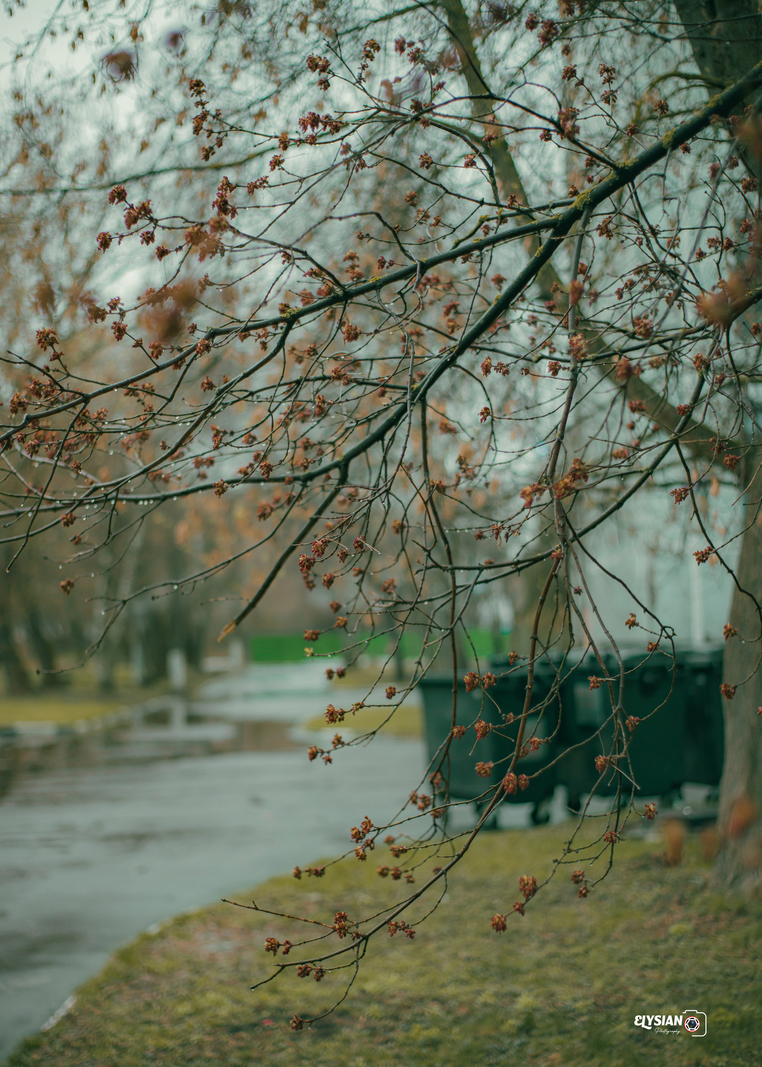 Nature. Hi, I’m Dairo James of  The Elysian Photography! I capture genuine moments across weddings, events, and portraits in Moscow