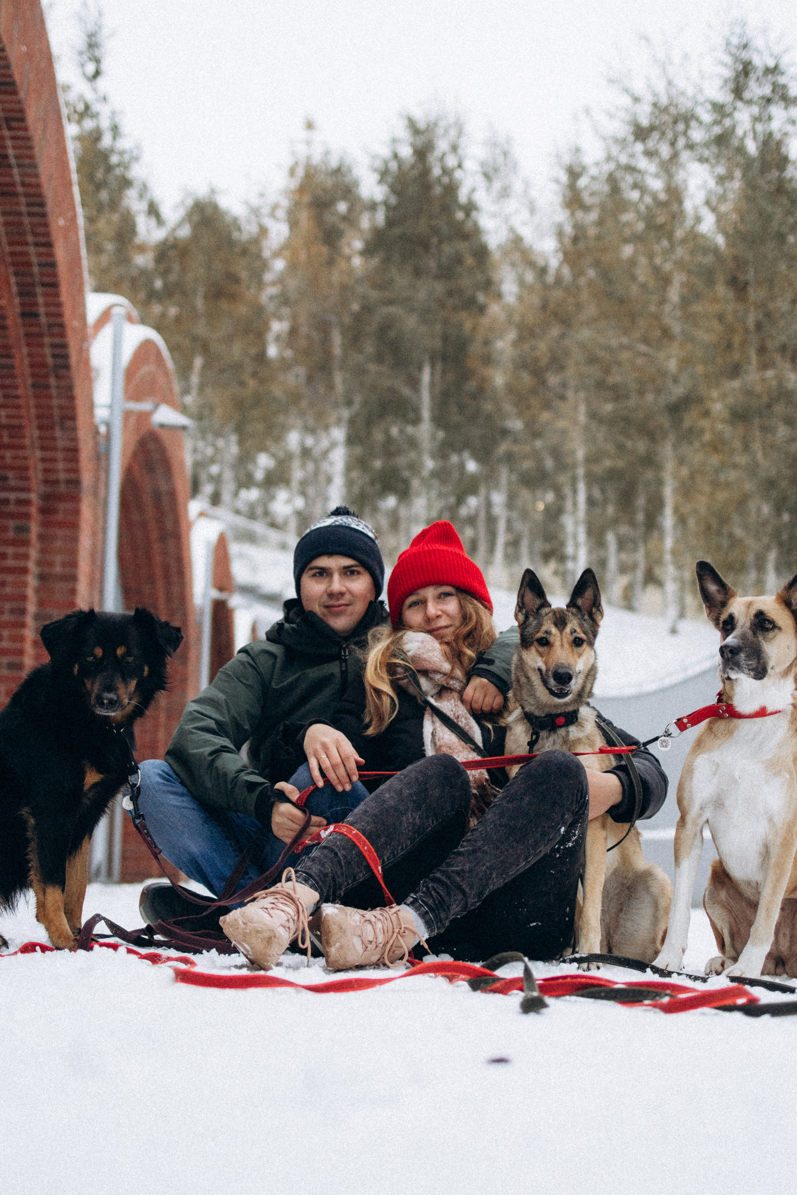 Саша, Ксюша и их банда. Фотораф — анималист Мария Шистка