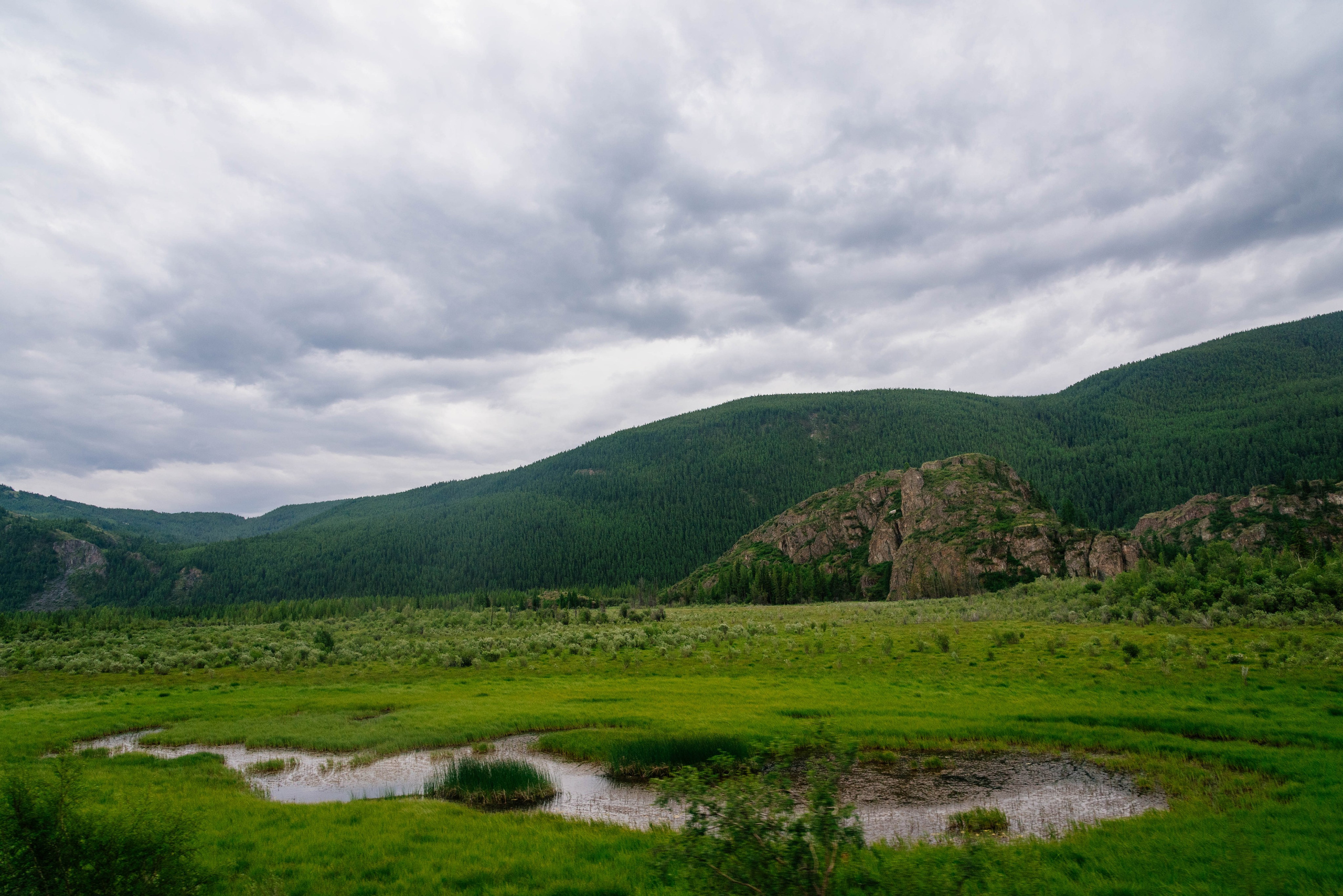 По Чуйскому тракту. Алтай, 2021. Фотограф Марк Арсаков
