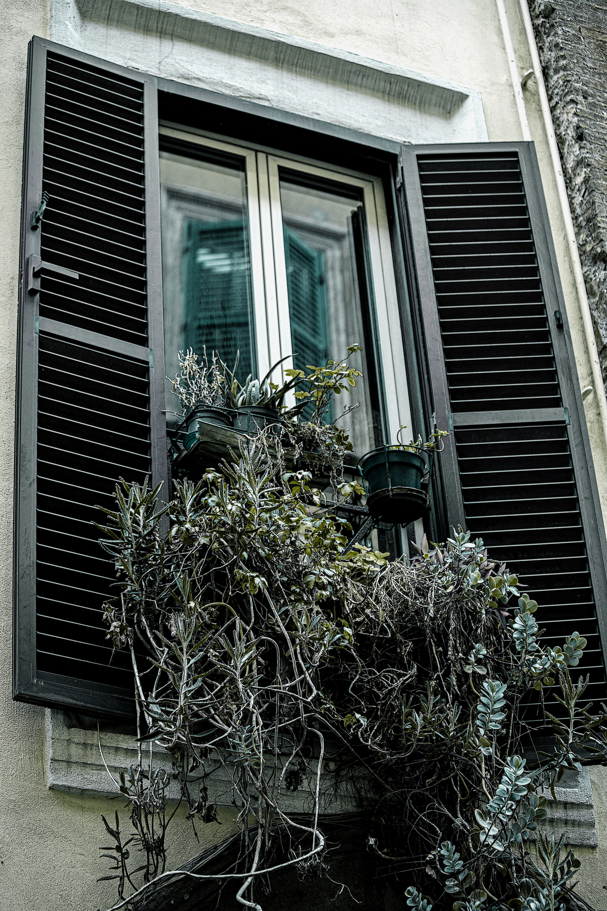 ROMA. Art Рhotographer