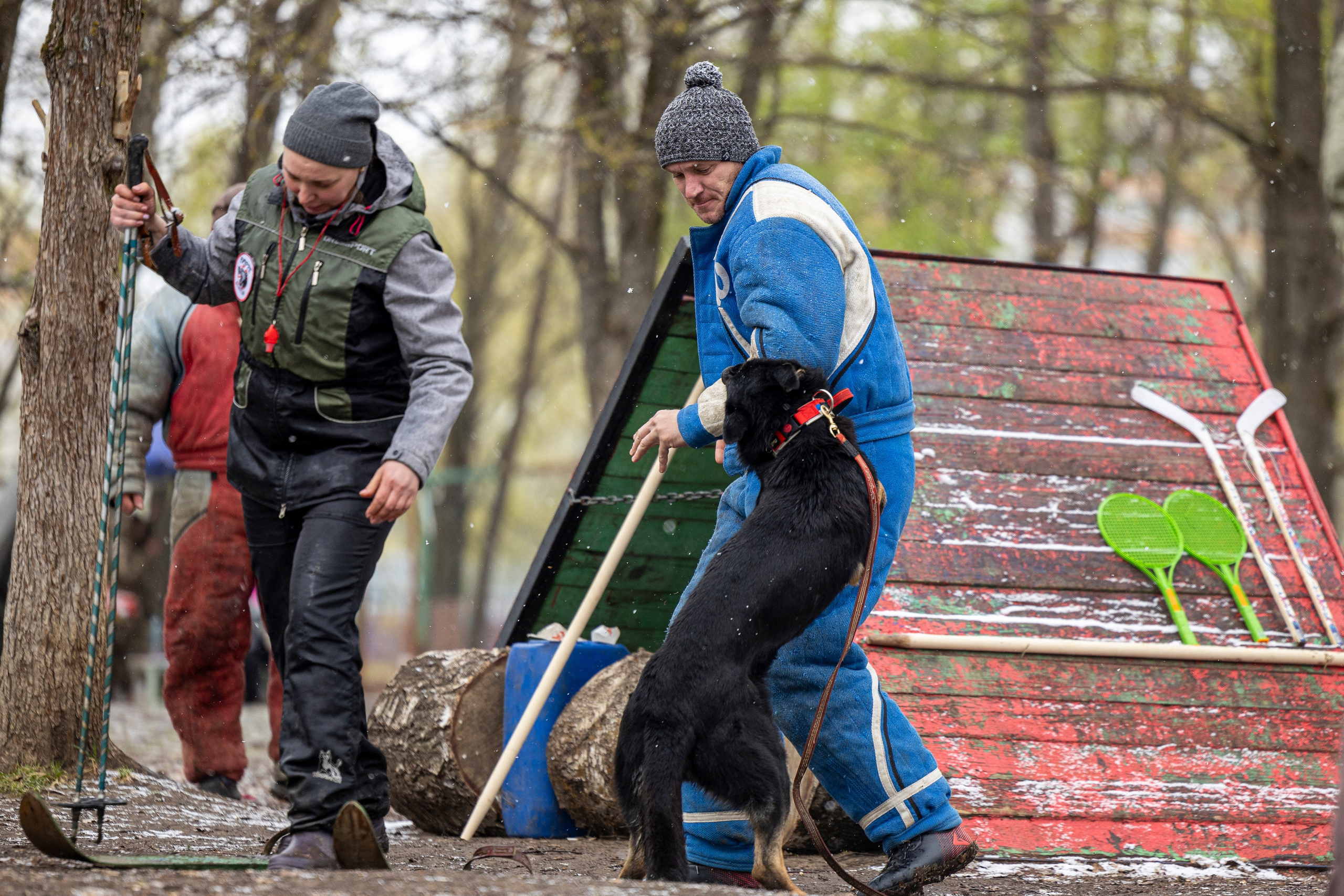 Квалификационные состязания по мондьорингу г. Вологда 11.05.24. Фотограф-анималист Анна Маринич