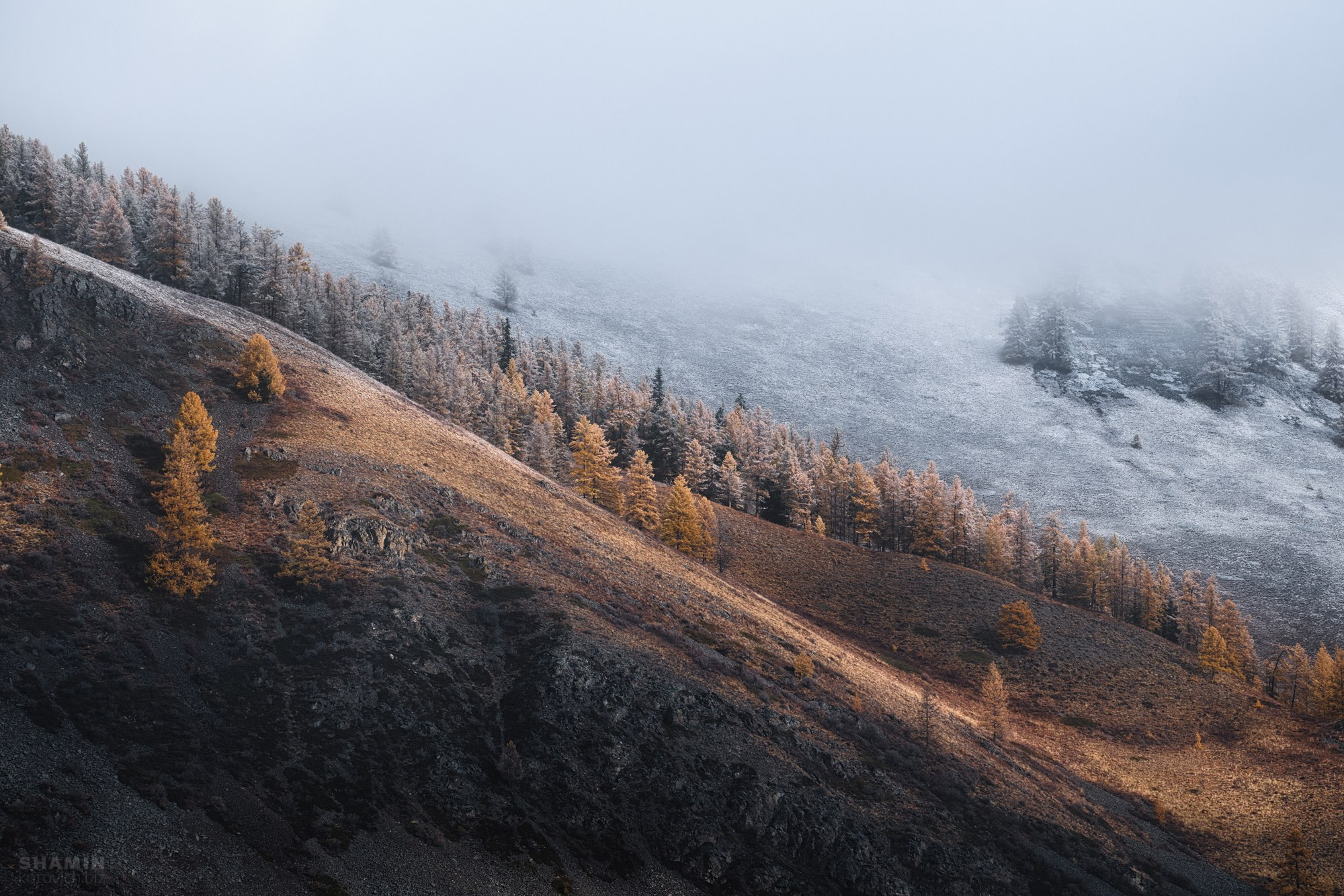 Алтай — пейзажная фотография Константина Шамина. Горы, реки и долины Алтая, природный свет, аэрофотосъёмка и классические пейзажи России.