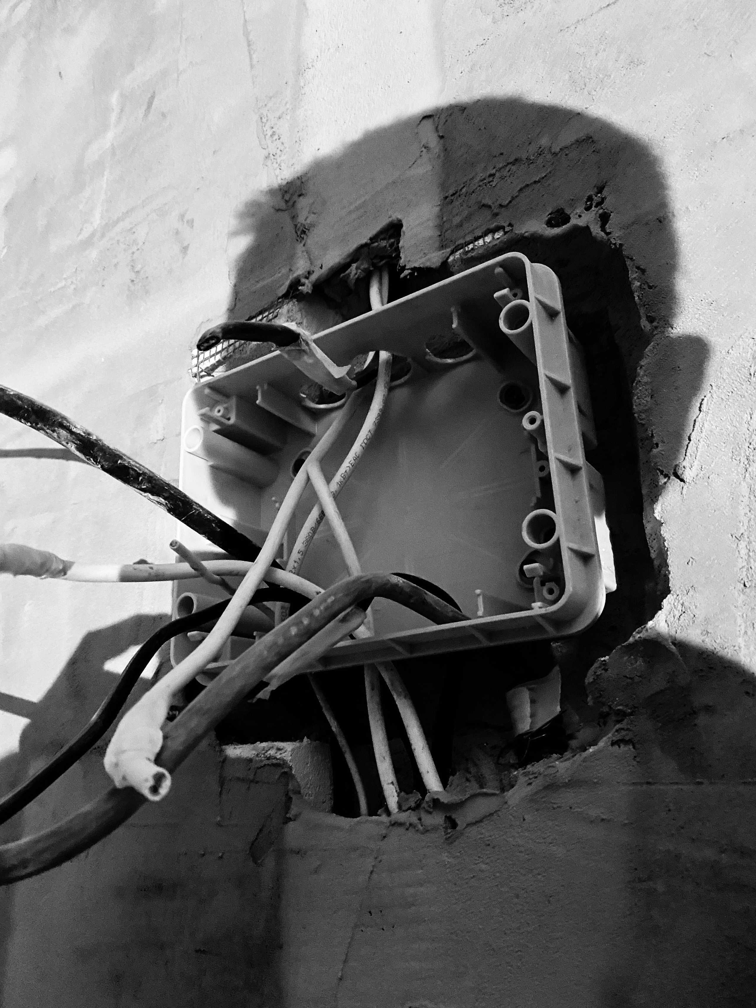 Mos Black & White Cow. Портретный и Репортажный фотограф в Москве