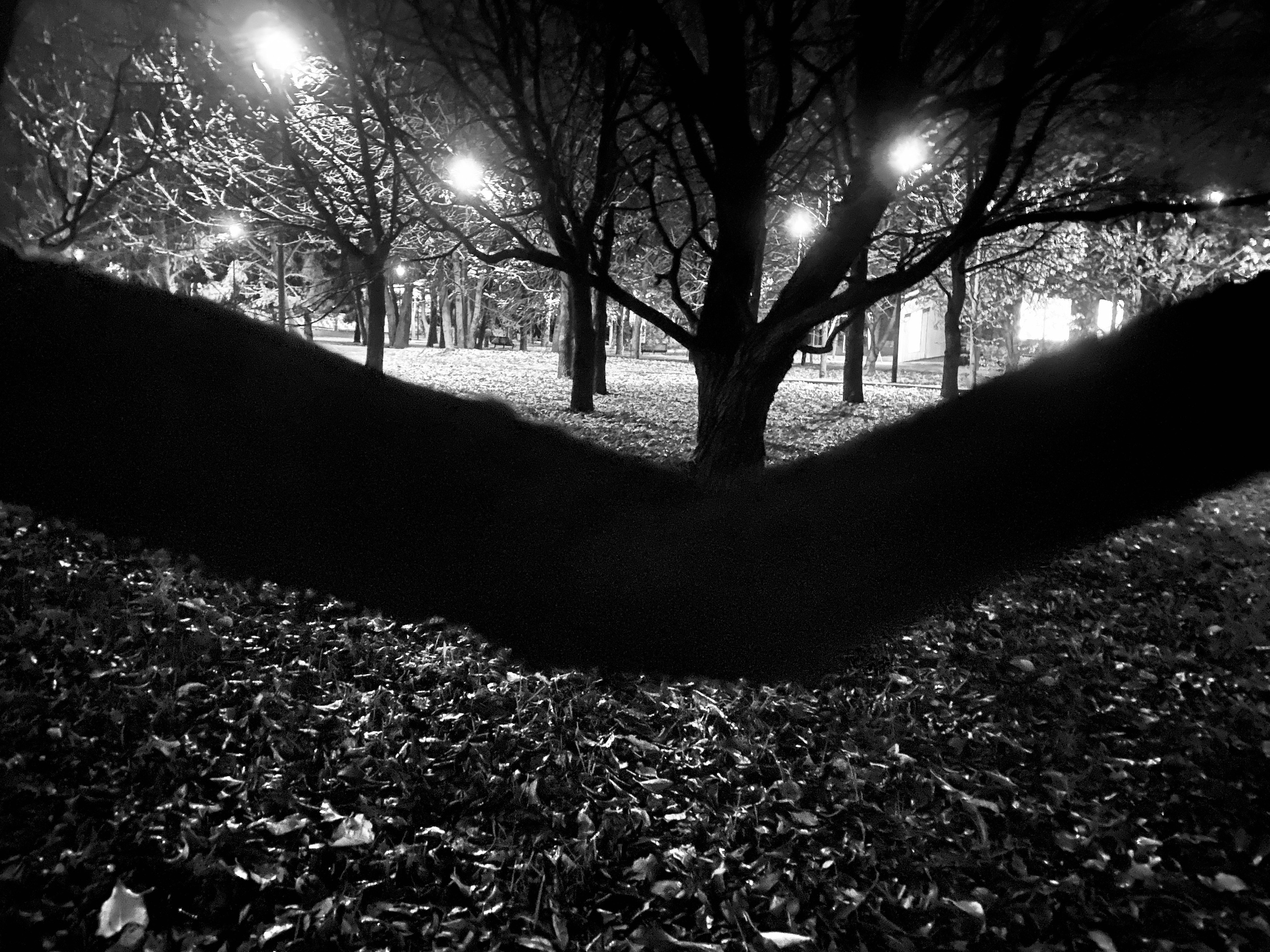 Mos Black & White Cow. Портретный и Репортажный фотограф в Москве