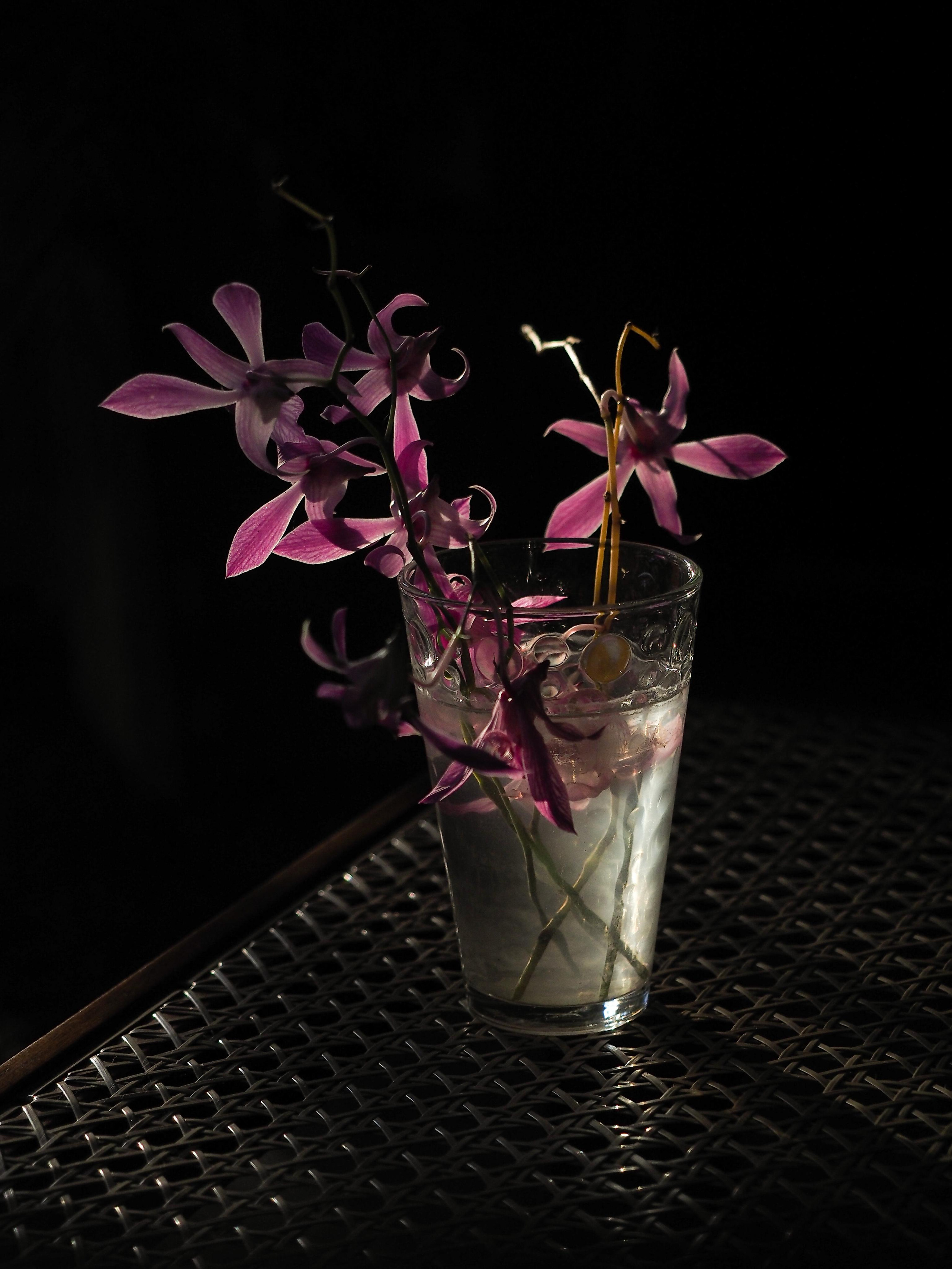 Good Spa. Портретный и Репортажный фотограф в Москве