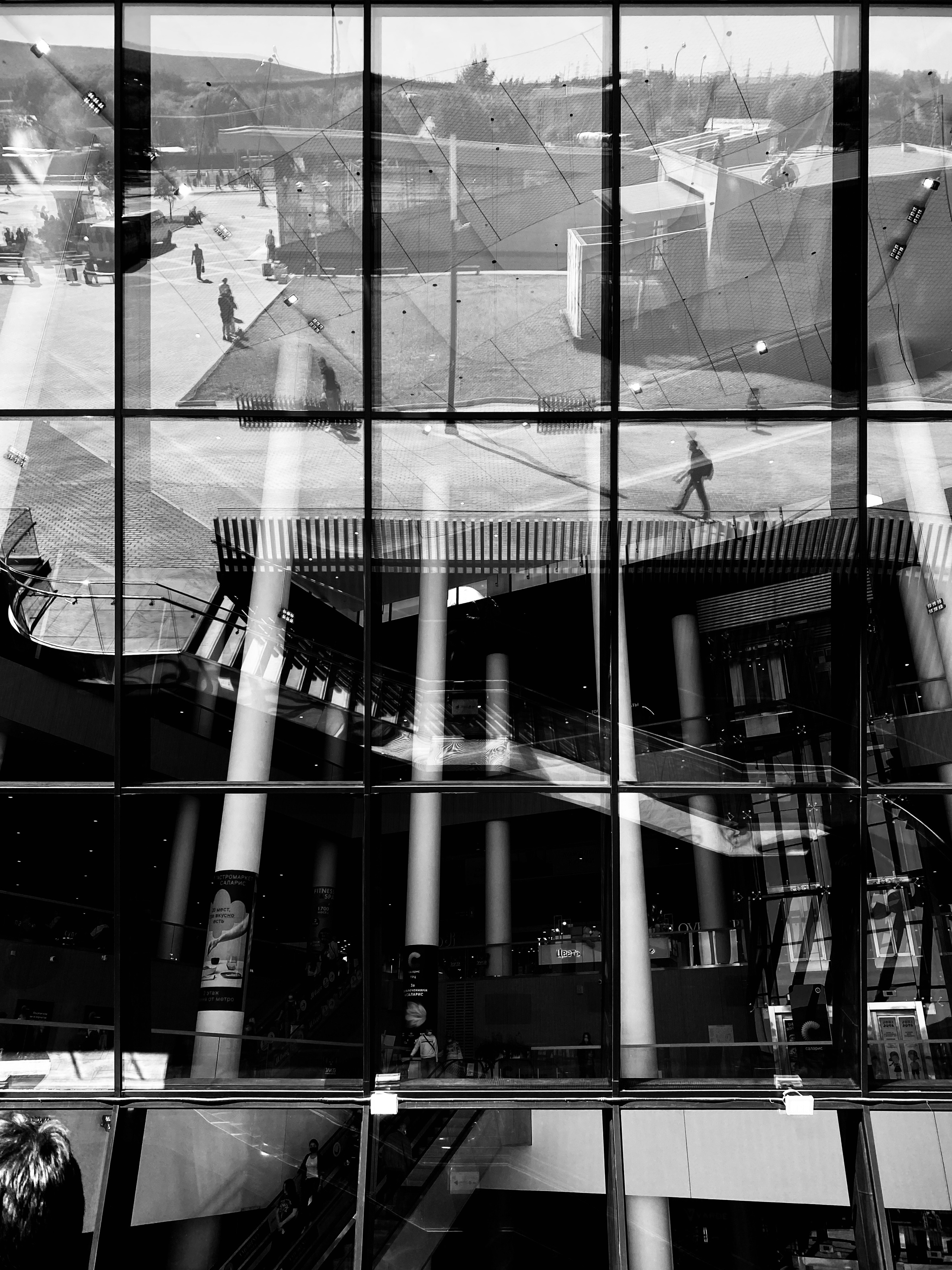 Mos Black & White Cow. Портретный и Репортажный фотограф в Москве