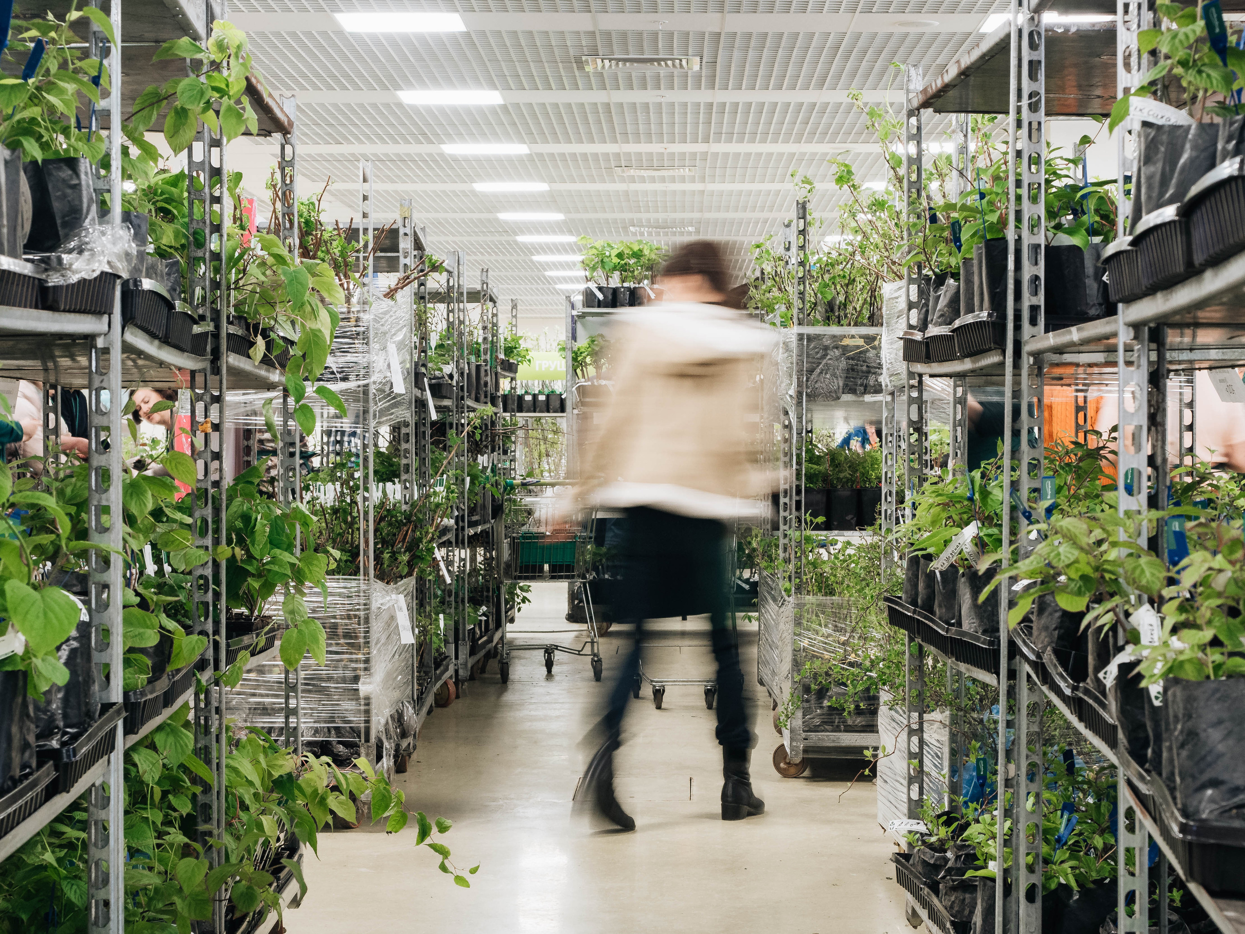 Strogoorganic Happy Birthday. Портретный и Репортажный фотограф в Москве