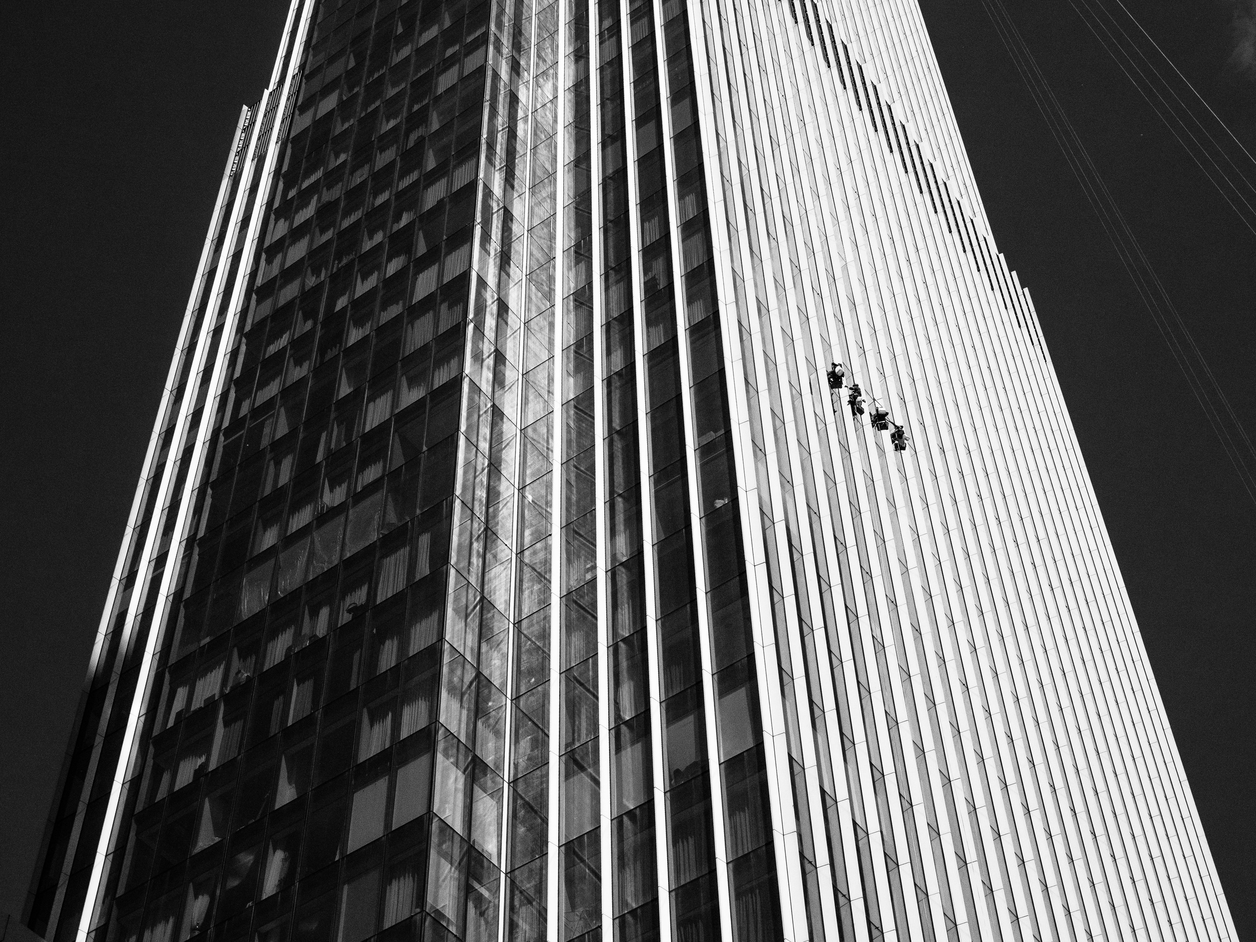 Mos Black & White Cow. Портретный и Репортажный фотограф в Москве