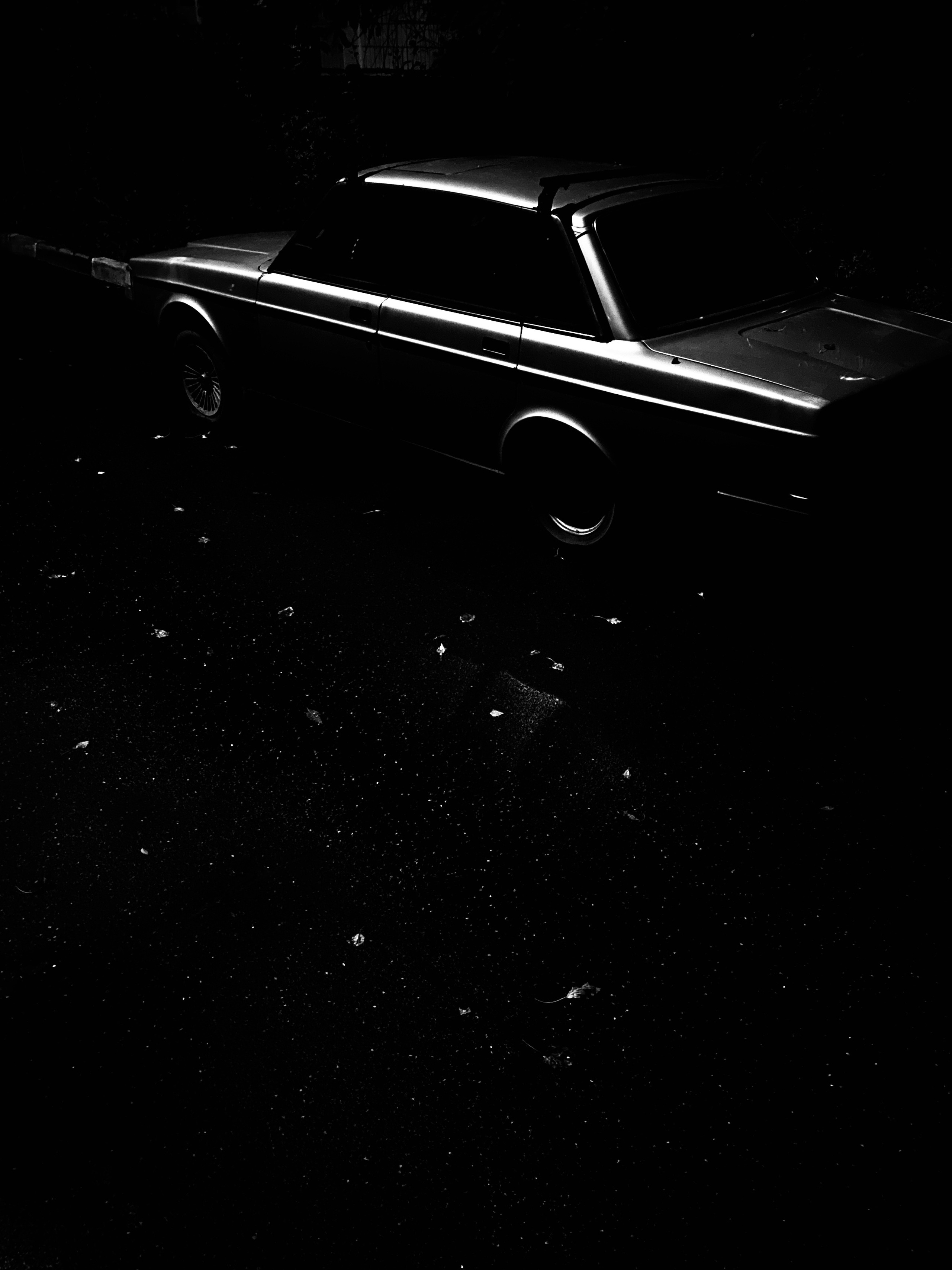 Mos Black & White Cow. Портретный и Репортажный фотограф в Москве