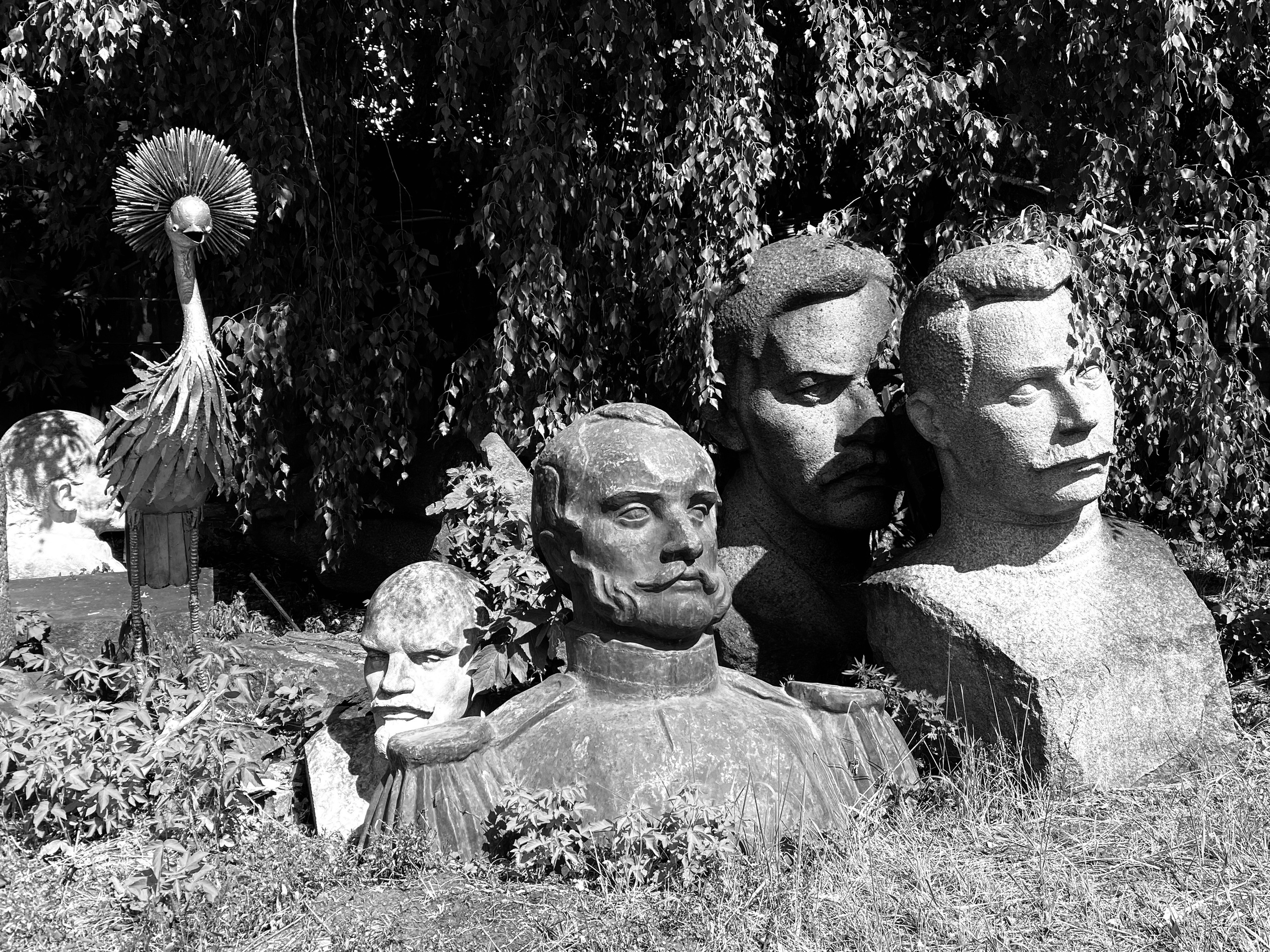 Mos Black & White Cow. Портретный и Репортажный фотограф в Москве