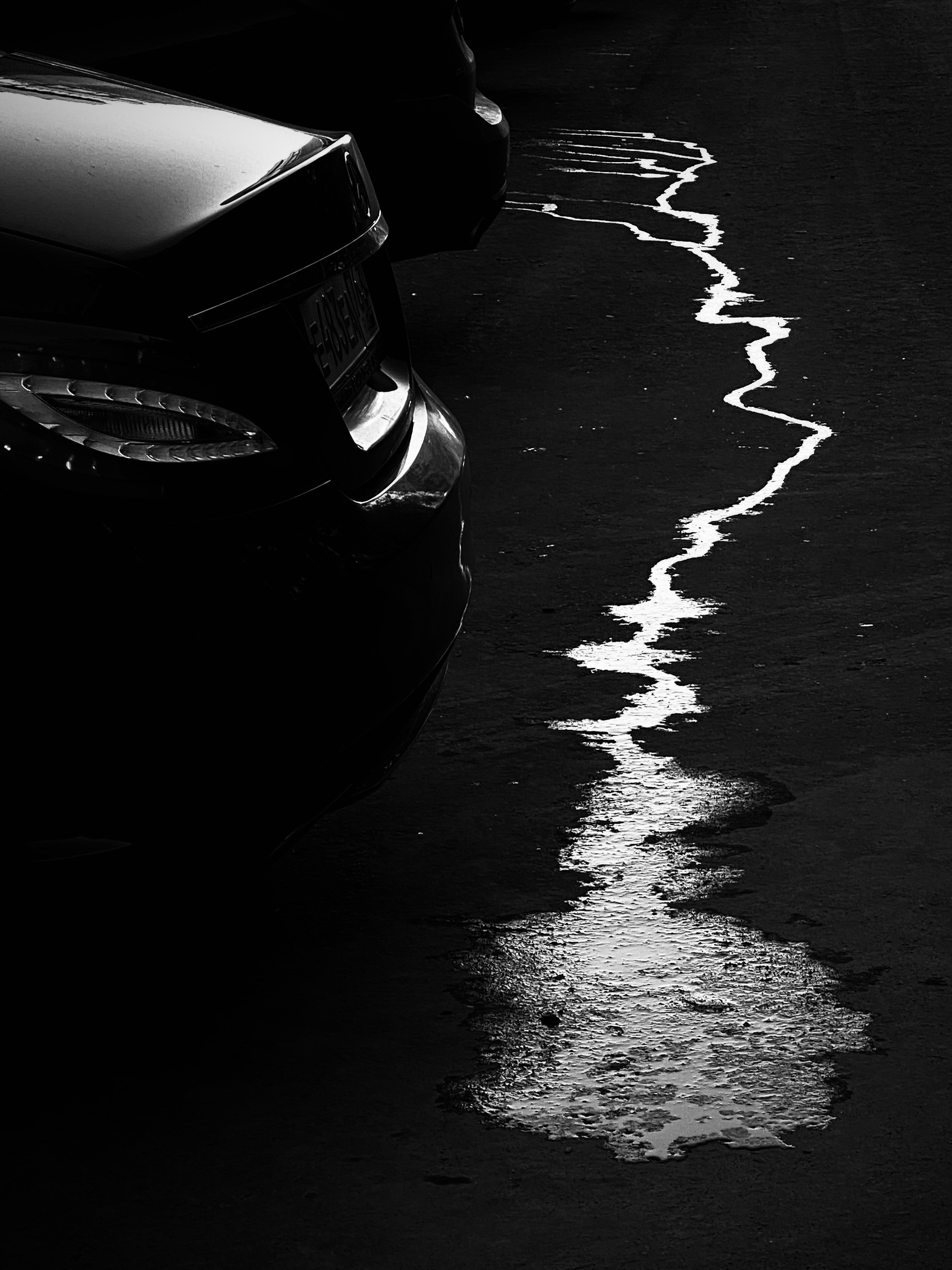 Mos Black & White Cow. Портретный и Репортажный фотограф в Москве