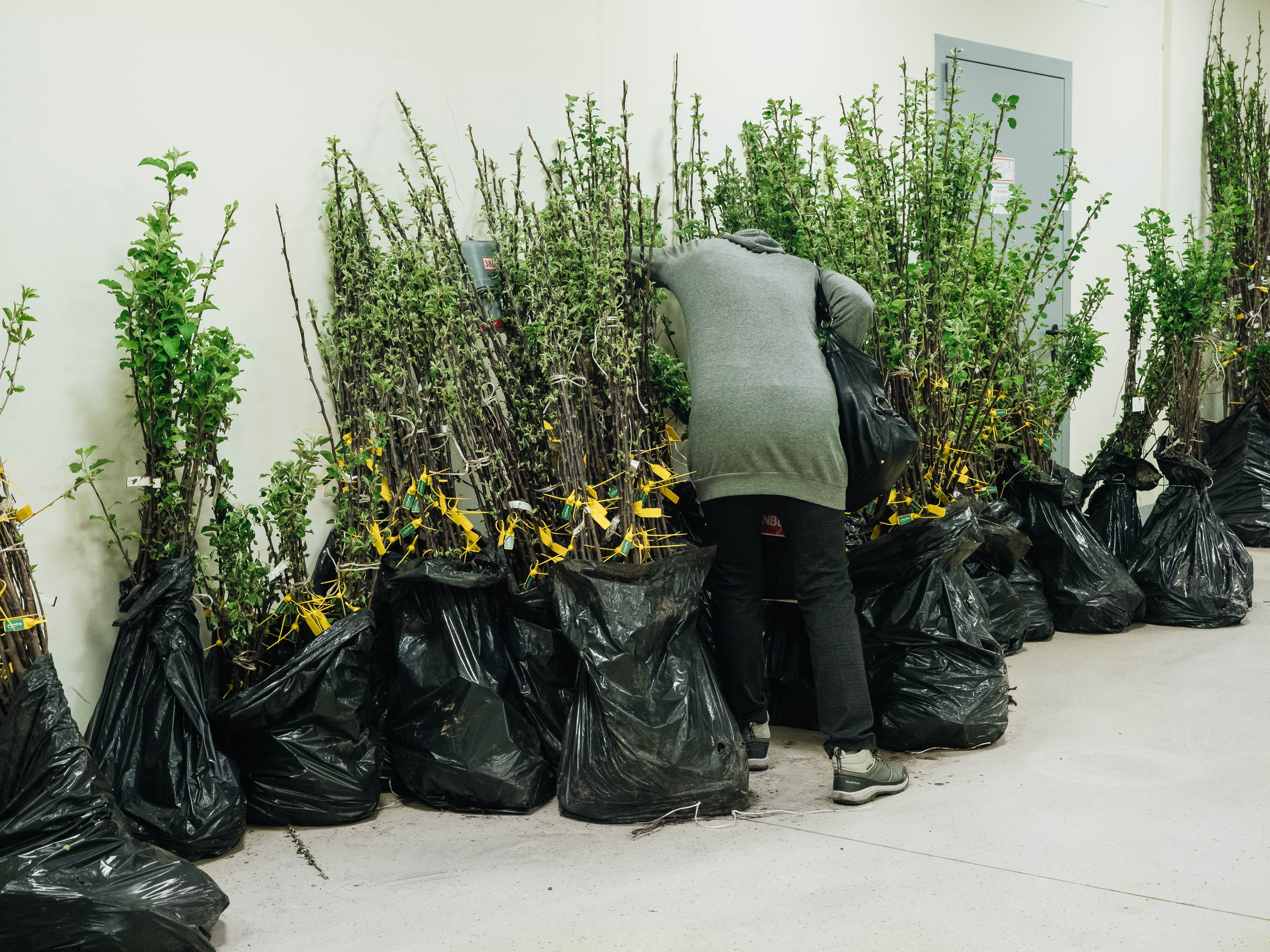 Strogoorganic Happy Birthday. Портретный и Репортажный фотограф в Москве