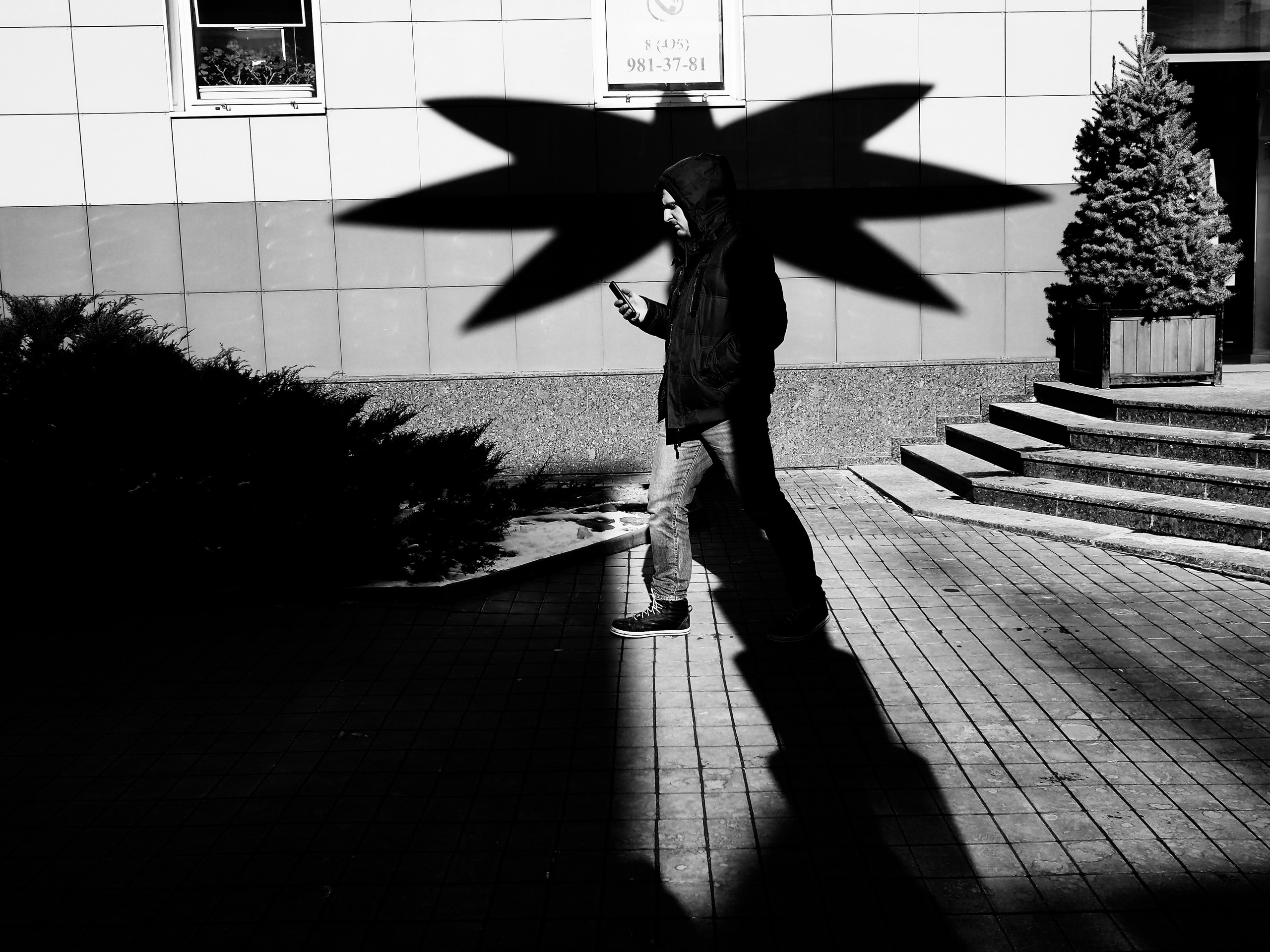 Mos Black & White Cow. Портретный и Репортажный фотограф в Москве