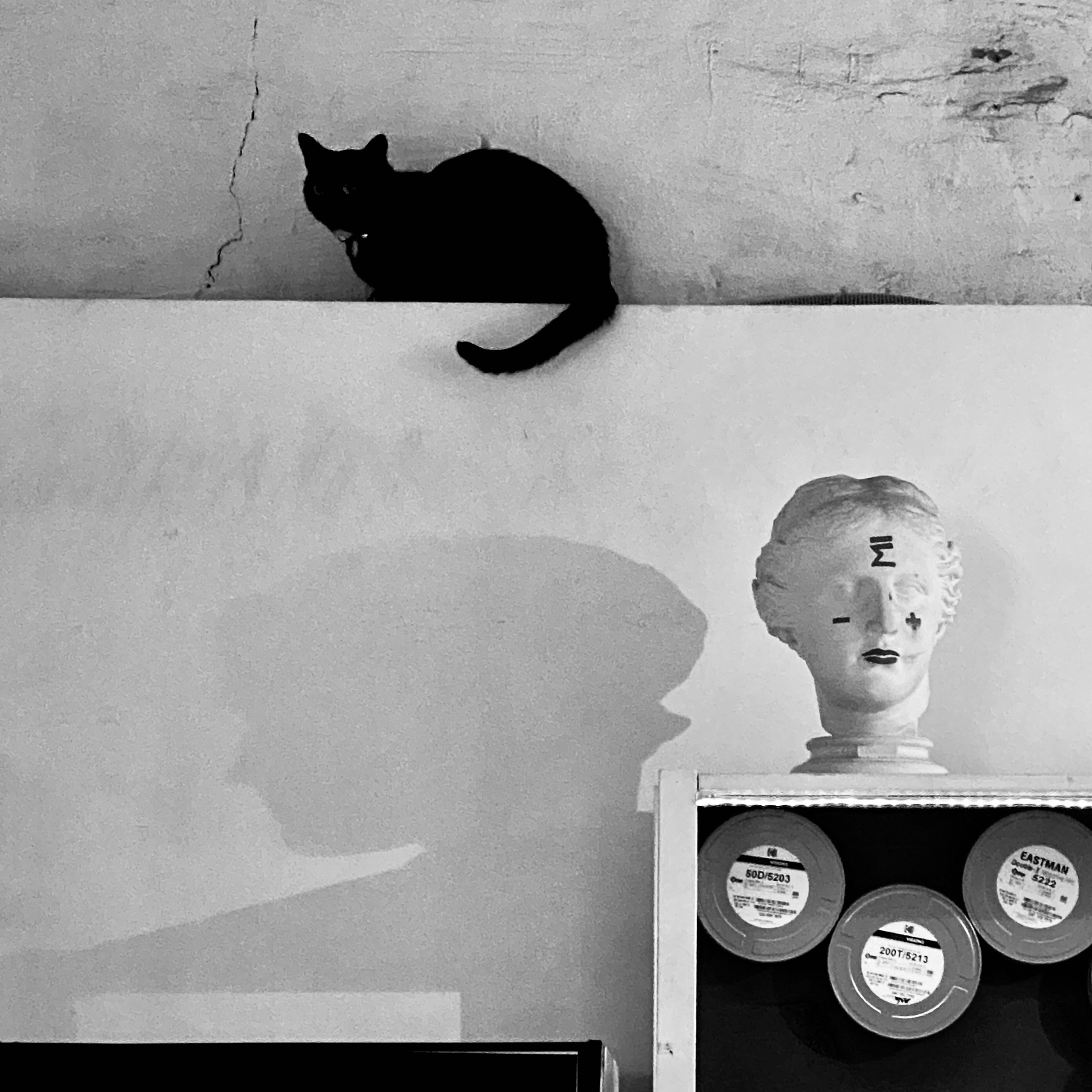 Mos Black & White Cow. Портретный и Репортажный фотограф в Москве