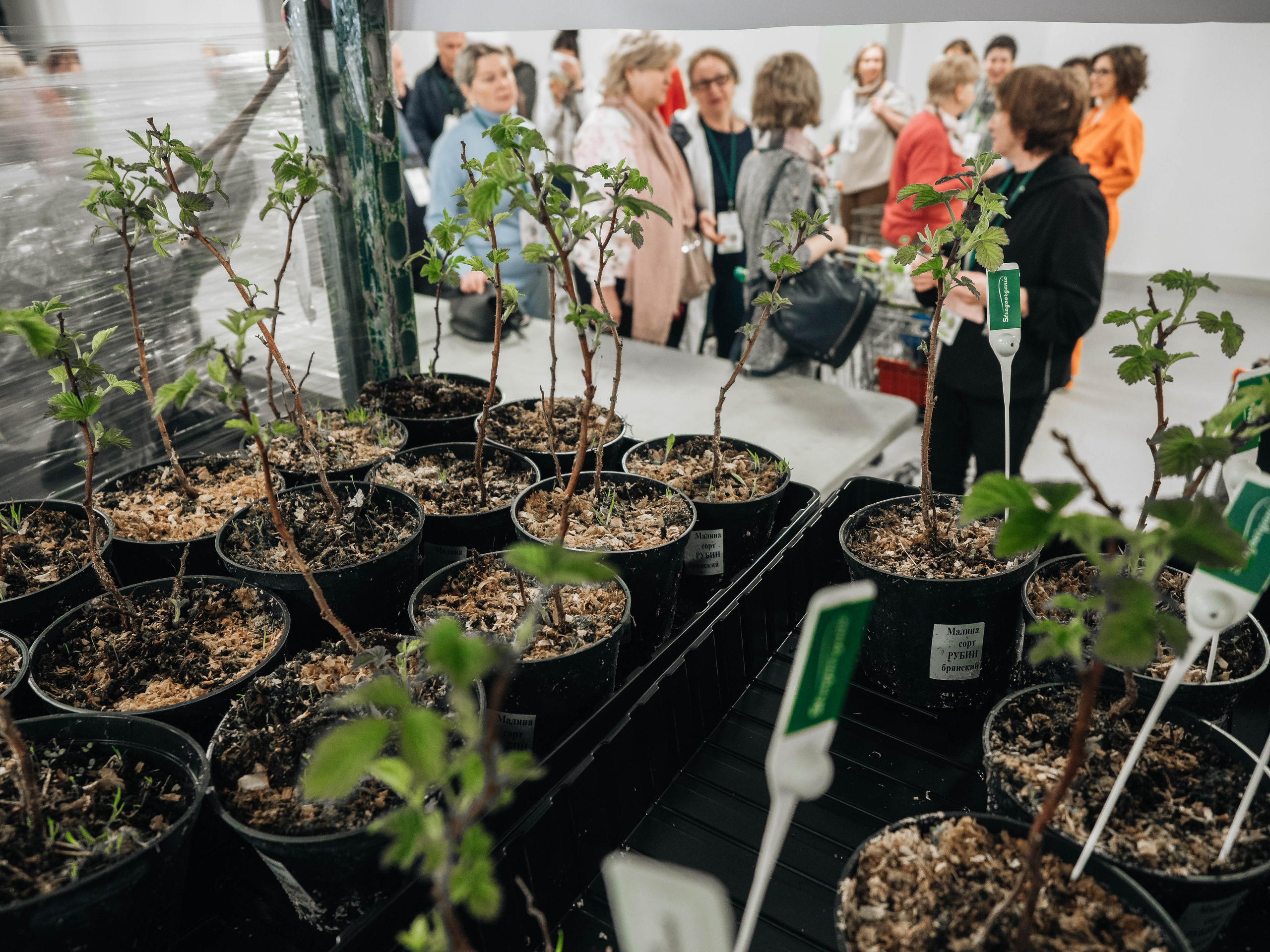 Strogoorganic Happy Birthday. Портретный и Репортажный фотограф в Москве