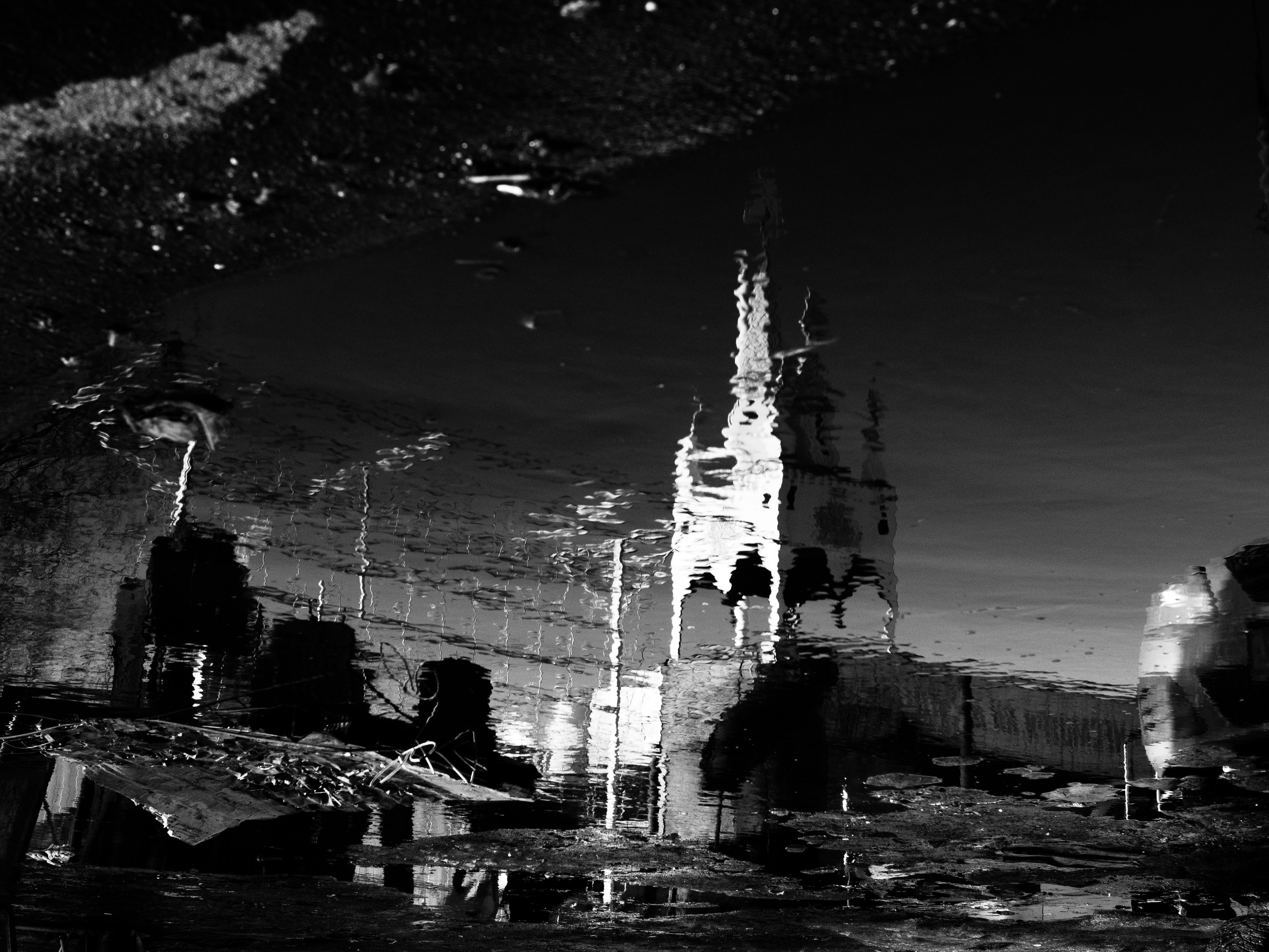 Mos Black & White Cow. Портретный и Репортажный фотограф в Москве