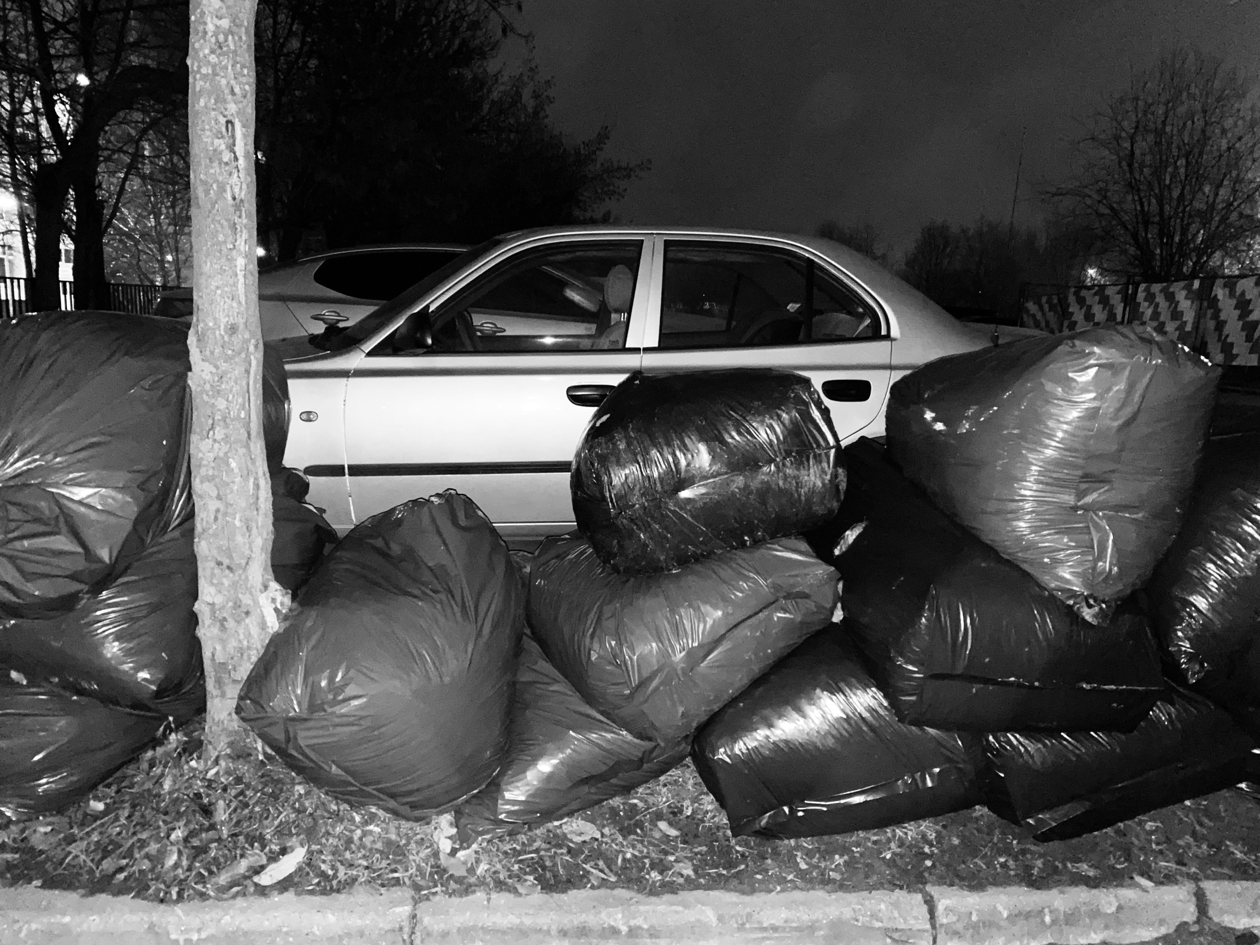 Mos Black & White Cow. Портретный и Репортажный фотограф в Москве