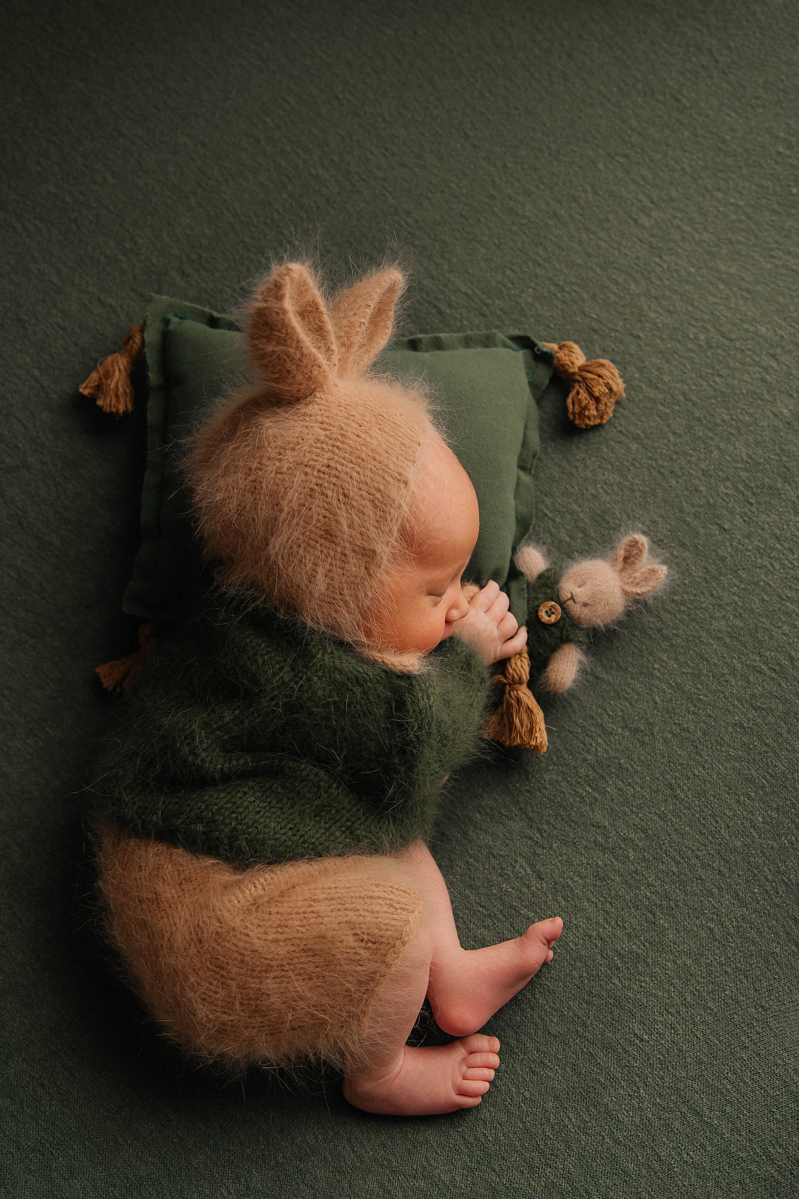 Лев. Фотограф новорожденных Тверь Диана Муляева