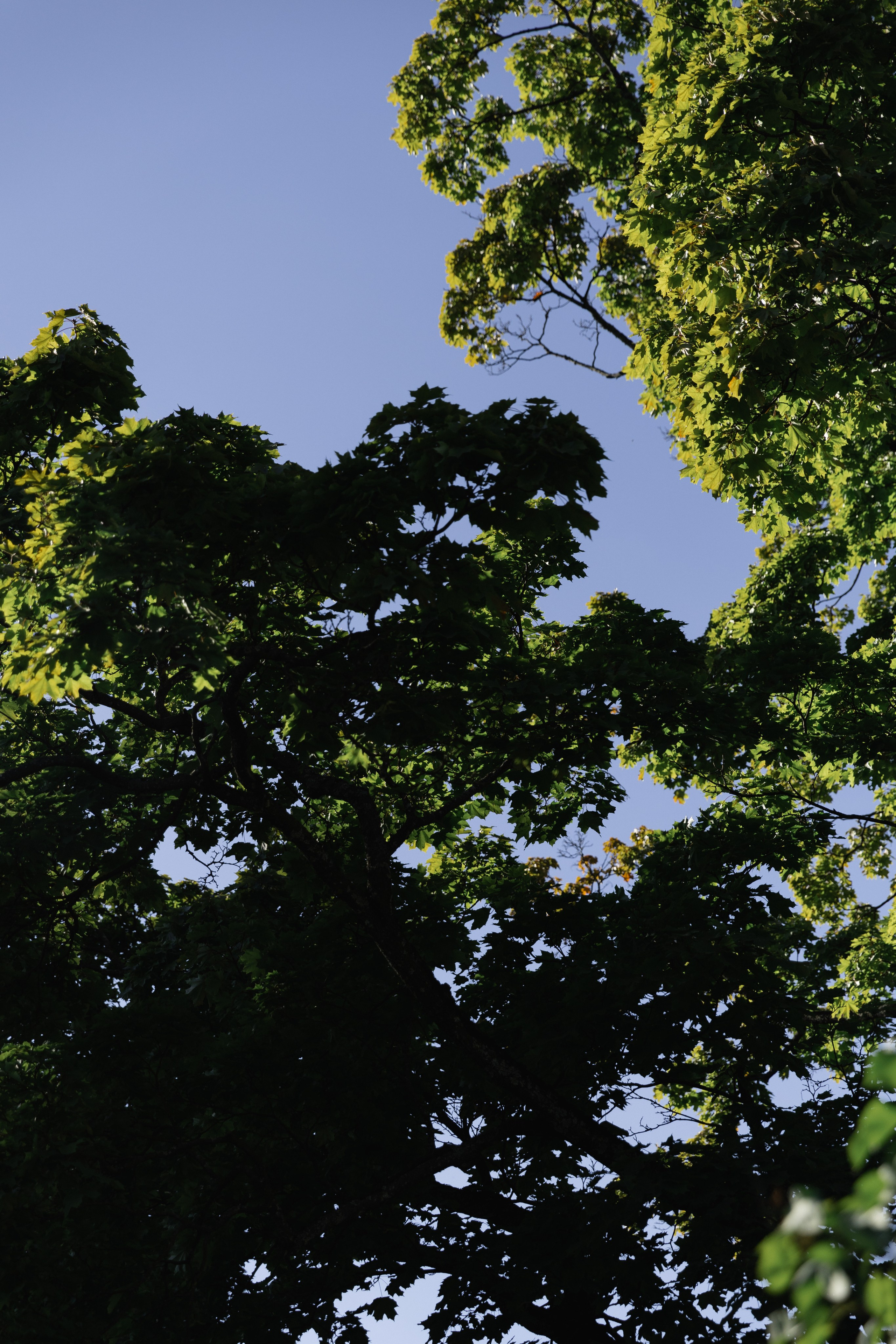 «В стороне от маршрута». Фотограф Вышний Волочек/Тверь/Москва/Санкт-Петербург