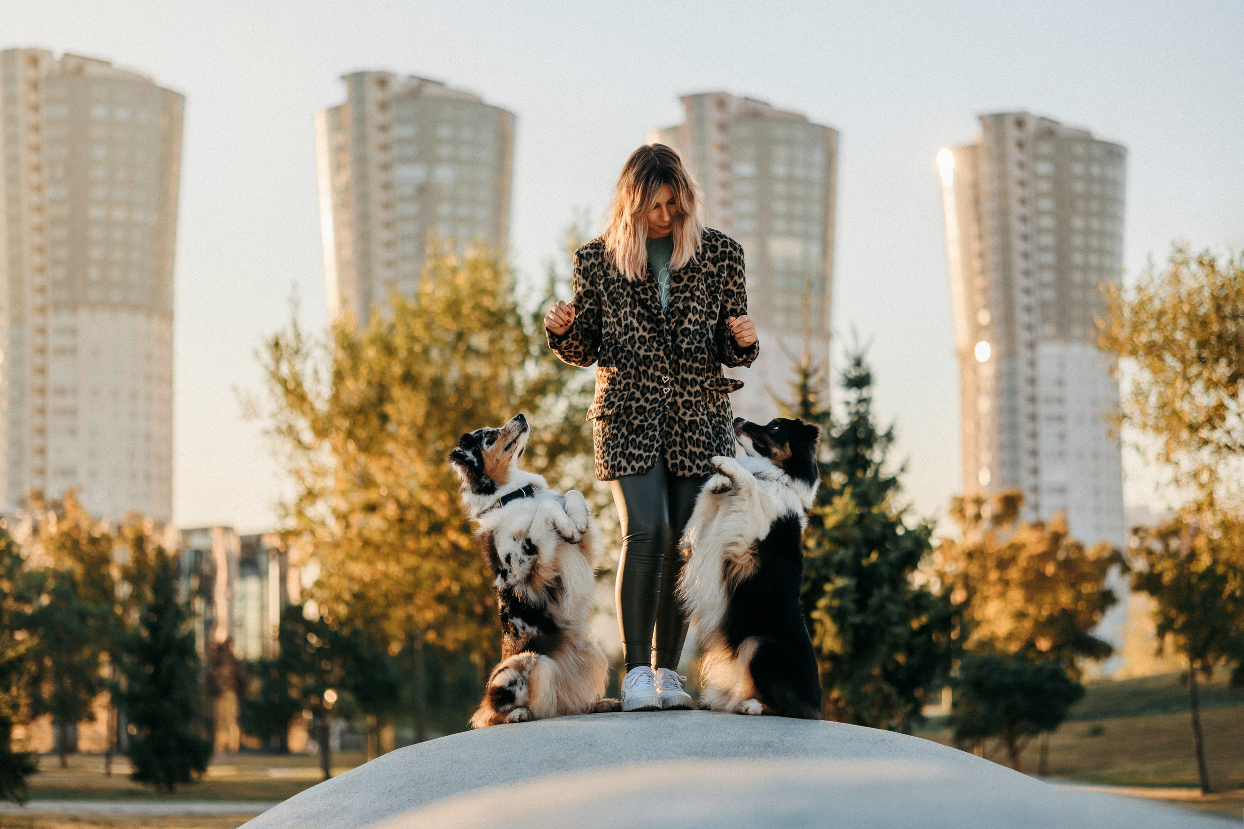 Аня, Чарли и Ева. Фотограф-анималист Елена Радченко, Москва