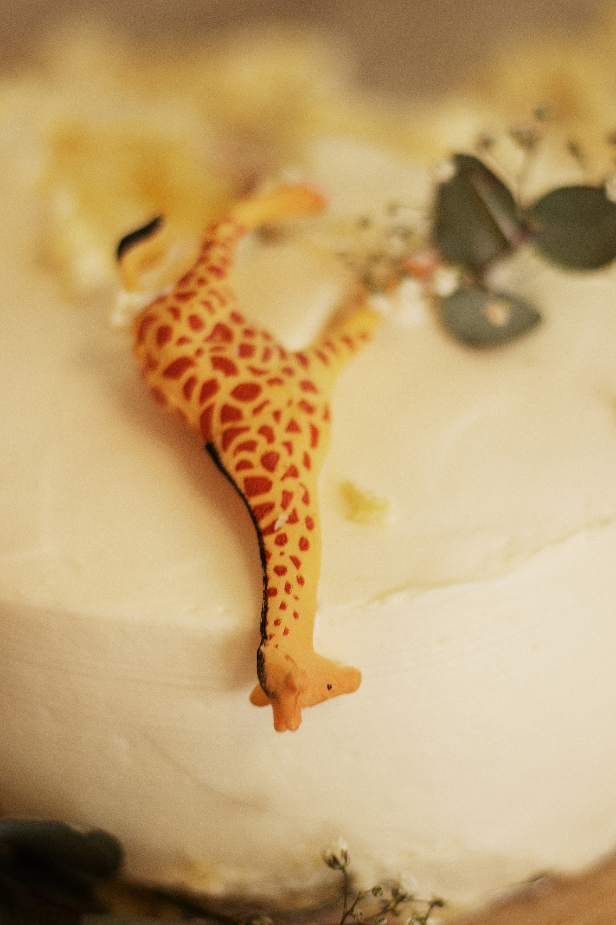 Семейные и дети. Контент-фотограф в Калининграде (Москве) Наталья Кеворкова