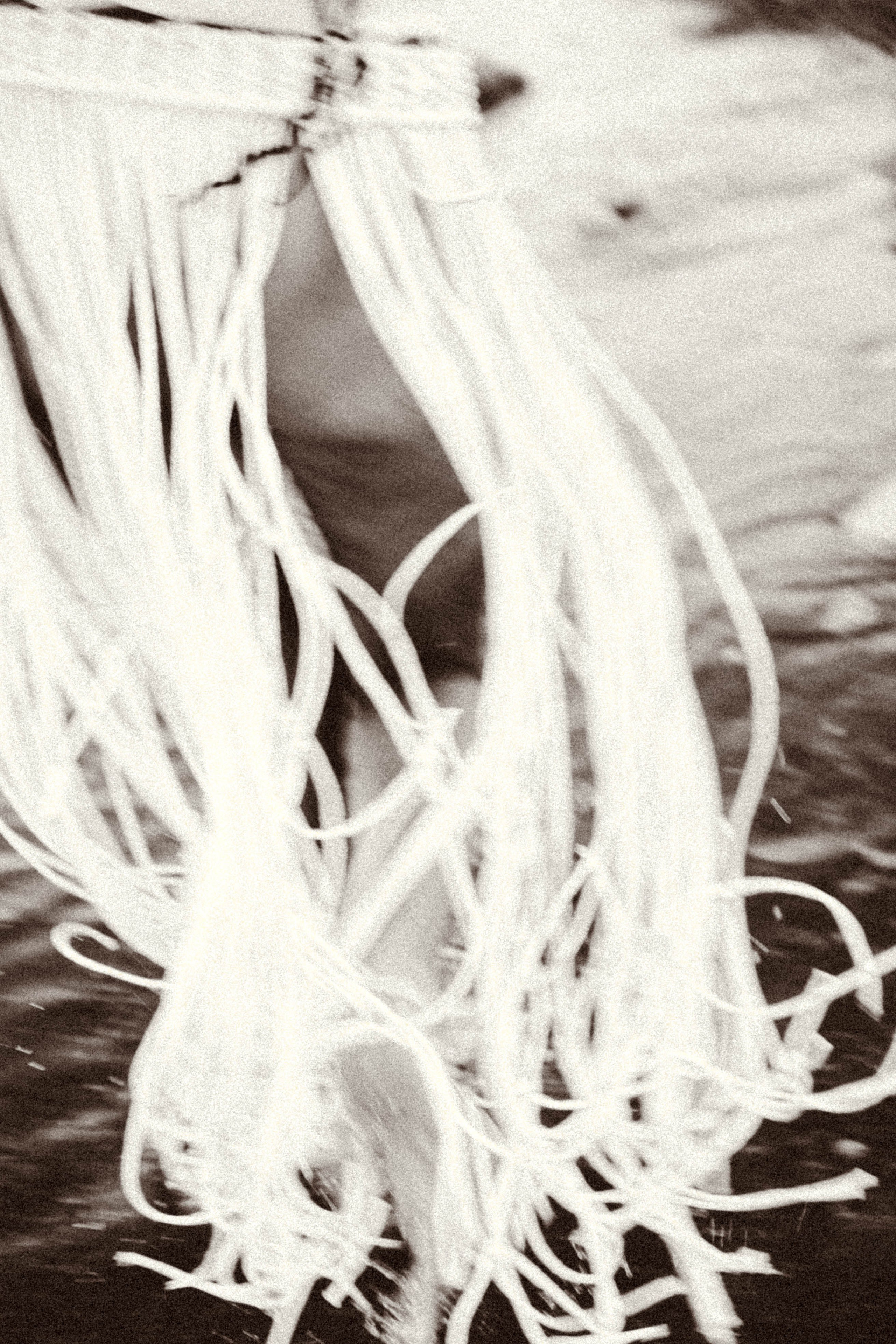 Рассвет. Профессиональный фотограф, Санкт-Петербург — Виктория Богомолова