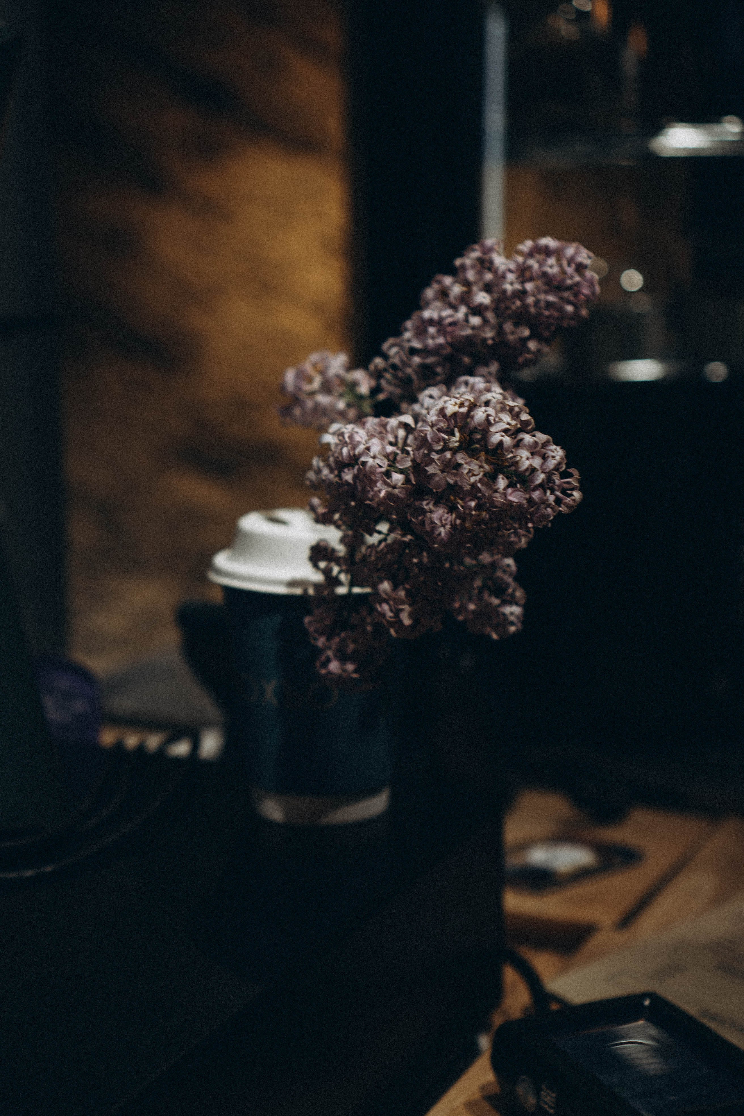 Кавказ. Профессиональный фотограф, Санкт-Петербург — Виктория Богомолова