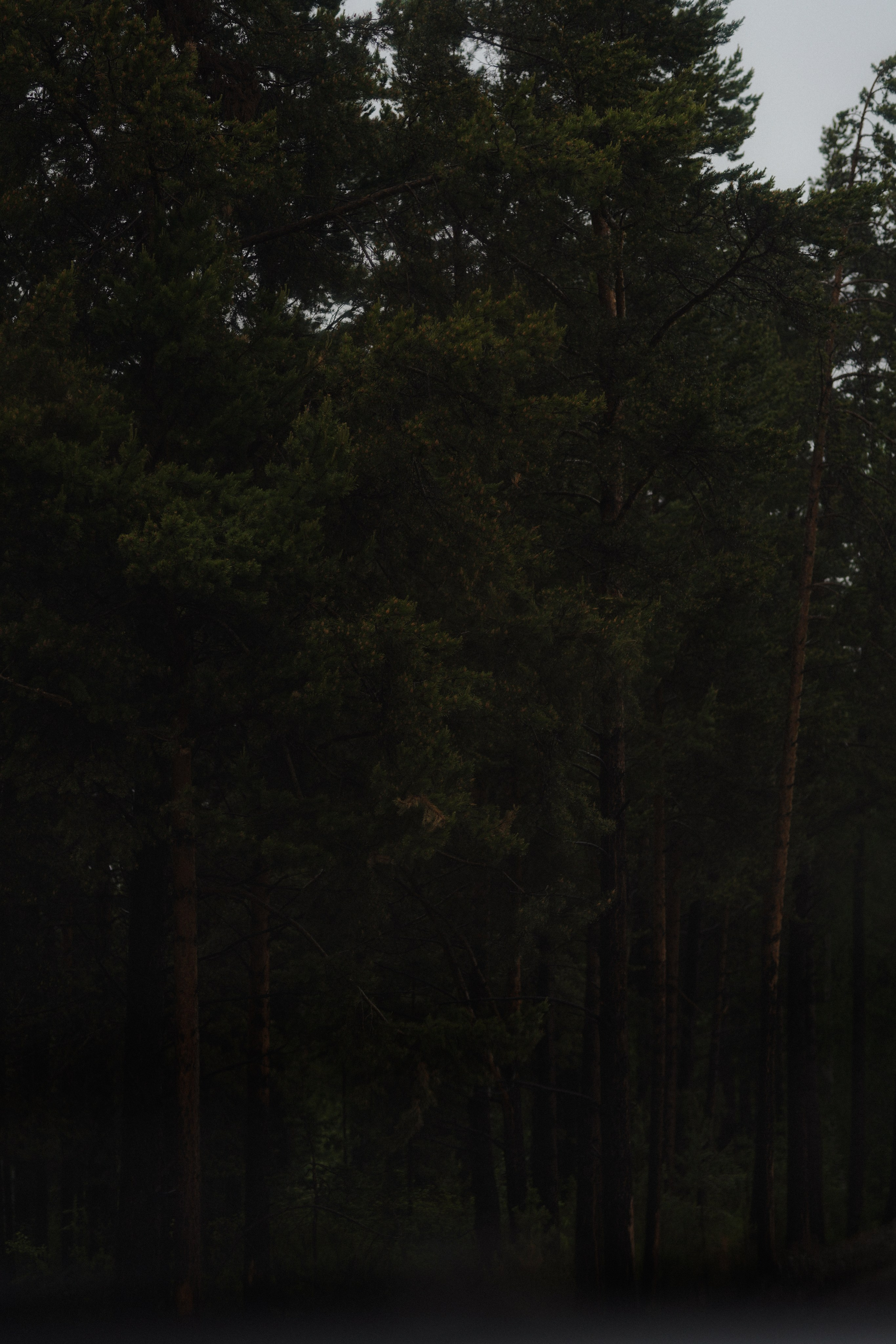 BAIKAL 06|24. Фотограф Виктория Виноградова