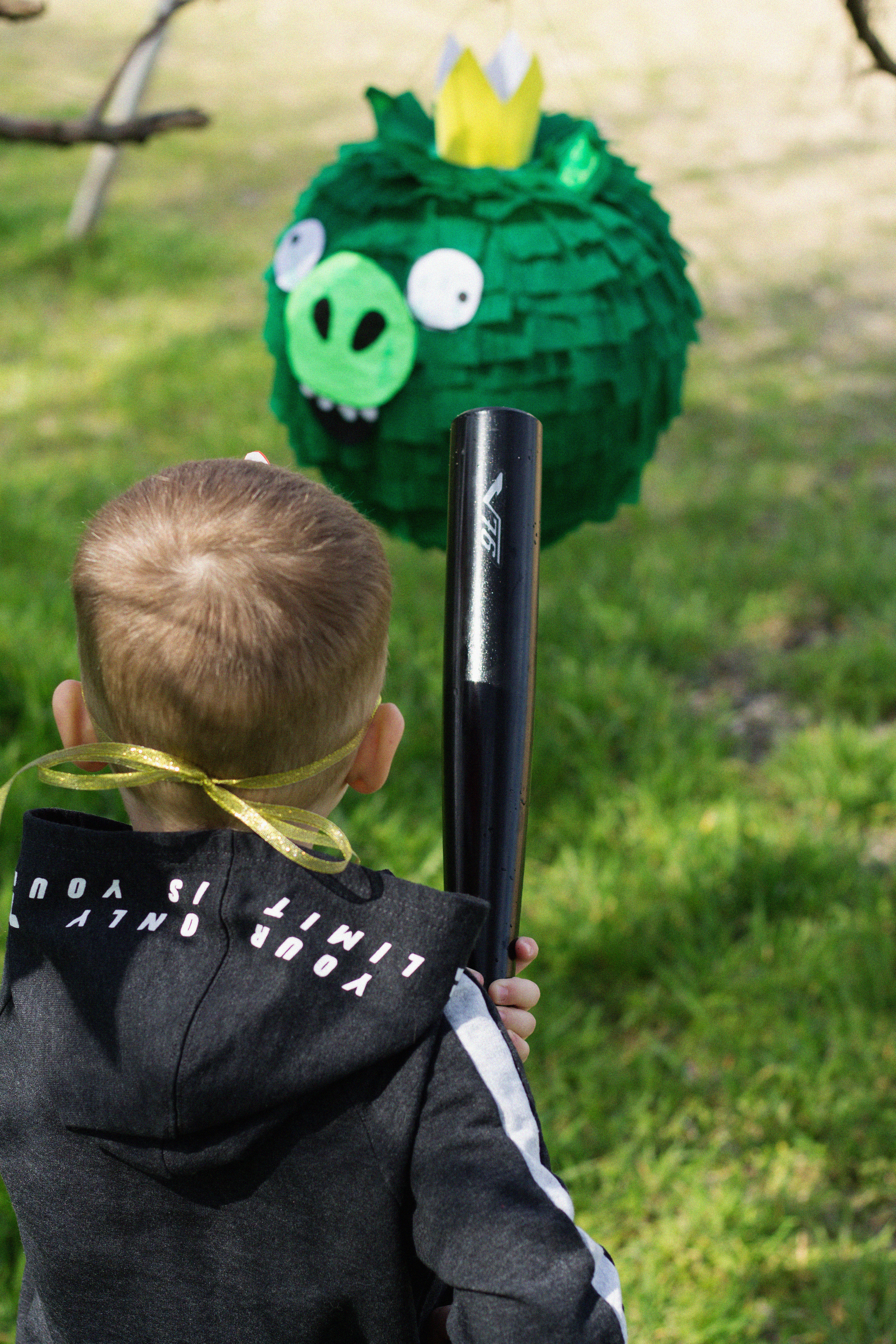 День рождения в стиле Angry Birds. Семейный и детский фотограф в Крыму Анна Фурса