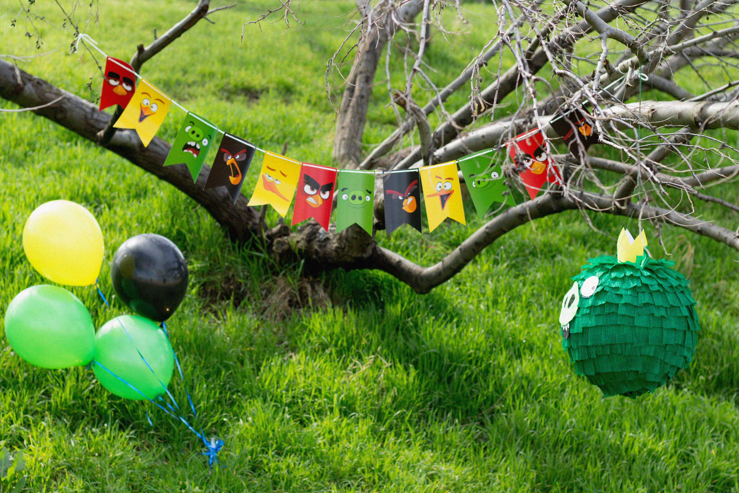 День рождения в стиле Angry Birds. Семейный и детский фотограф в Крыму Анна Фурса