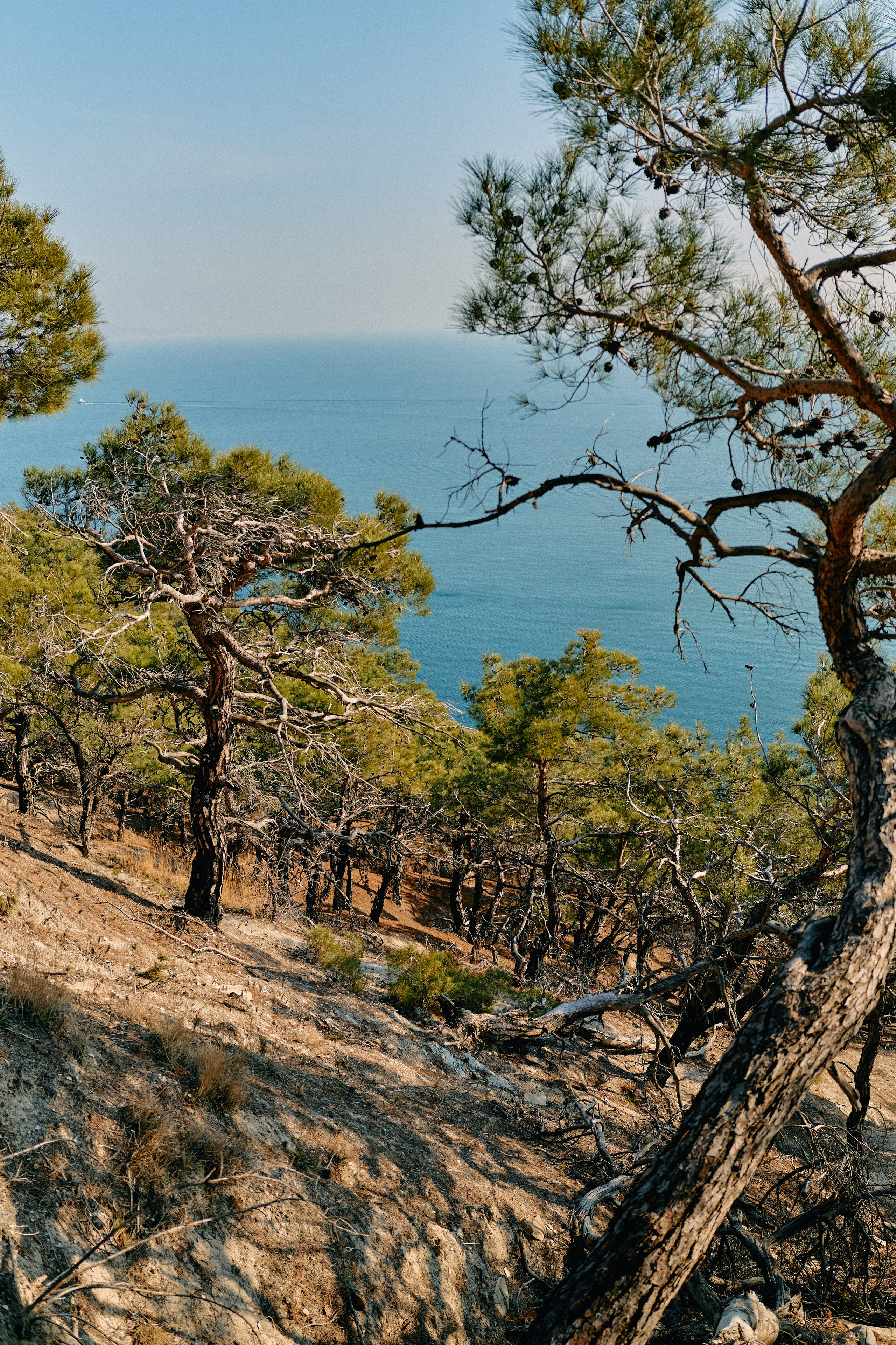 Юг России. Профессиональный Фотограф во Владимире, в Москве и в Суздале — Полина Романычева