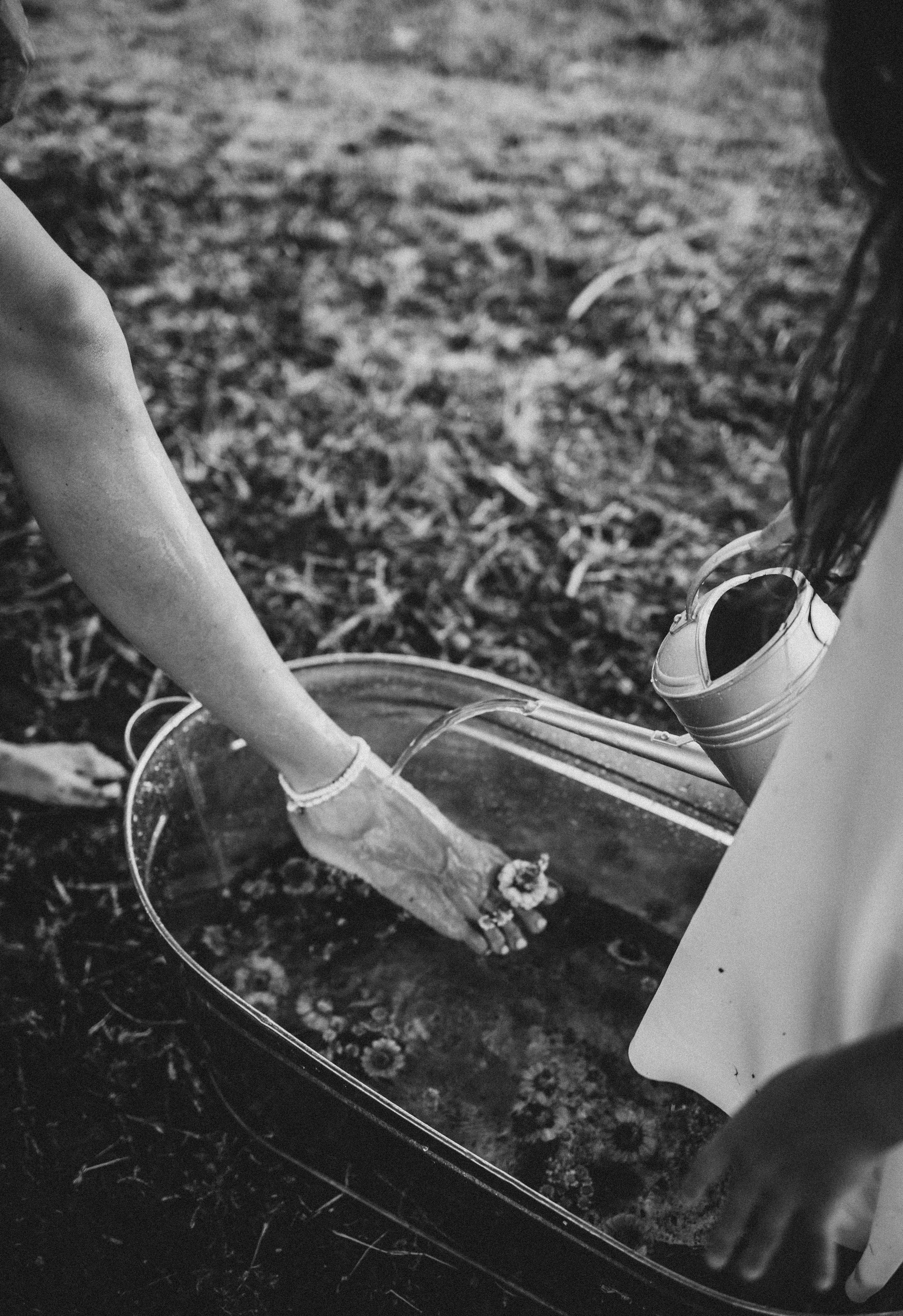 Цветочное настроение. Фотограф Алевтина Матешук
