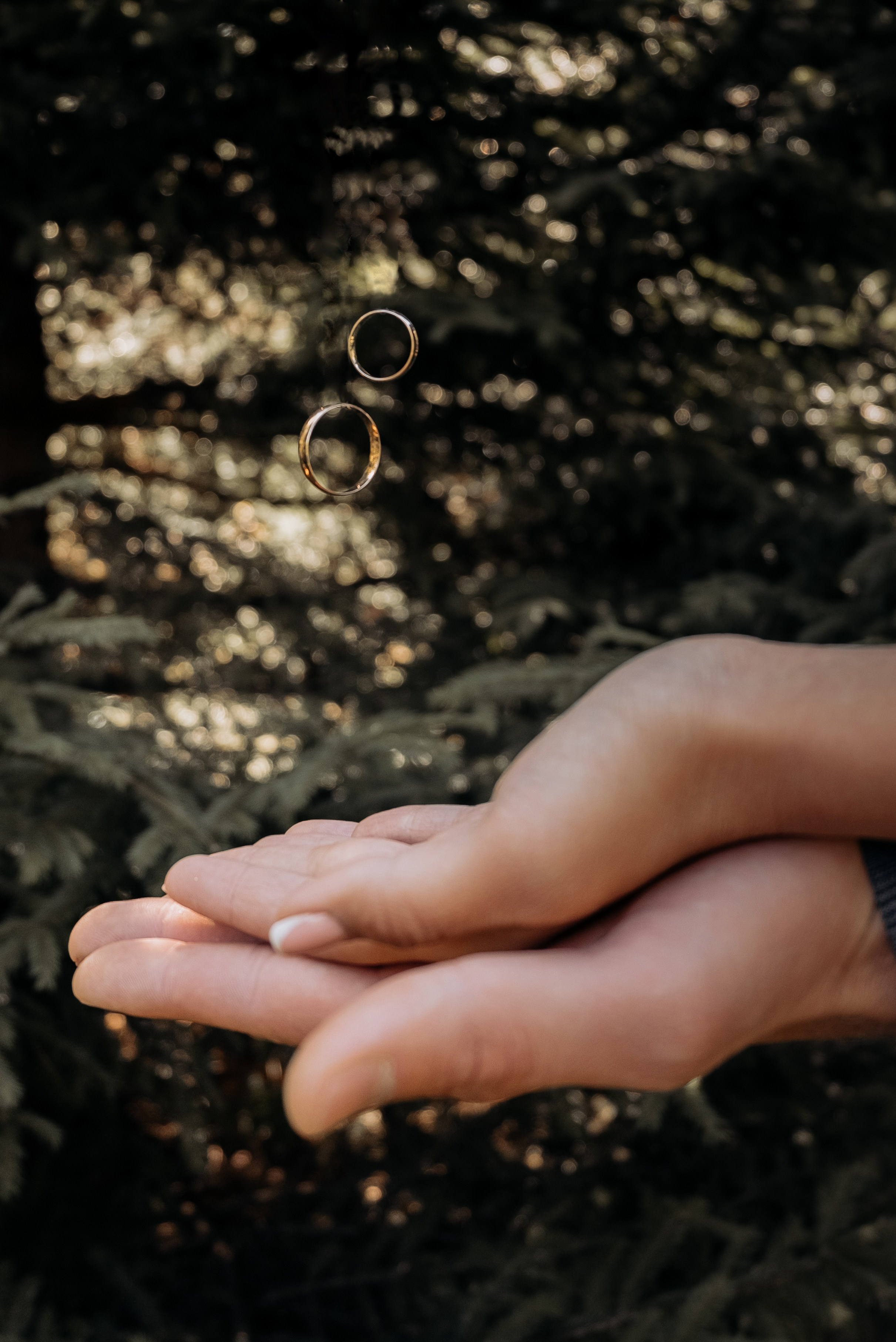 Лена и Глеб. Фотограф Тверь. Анна Драго