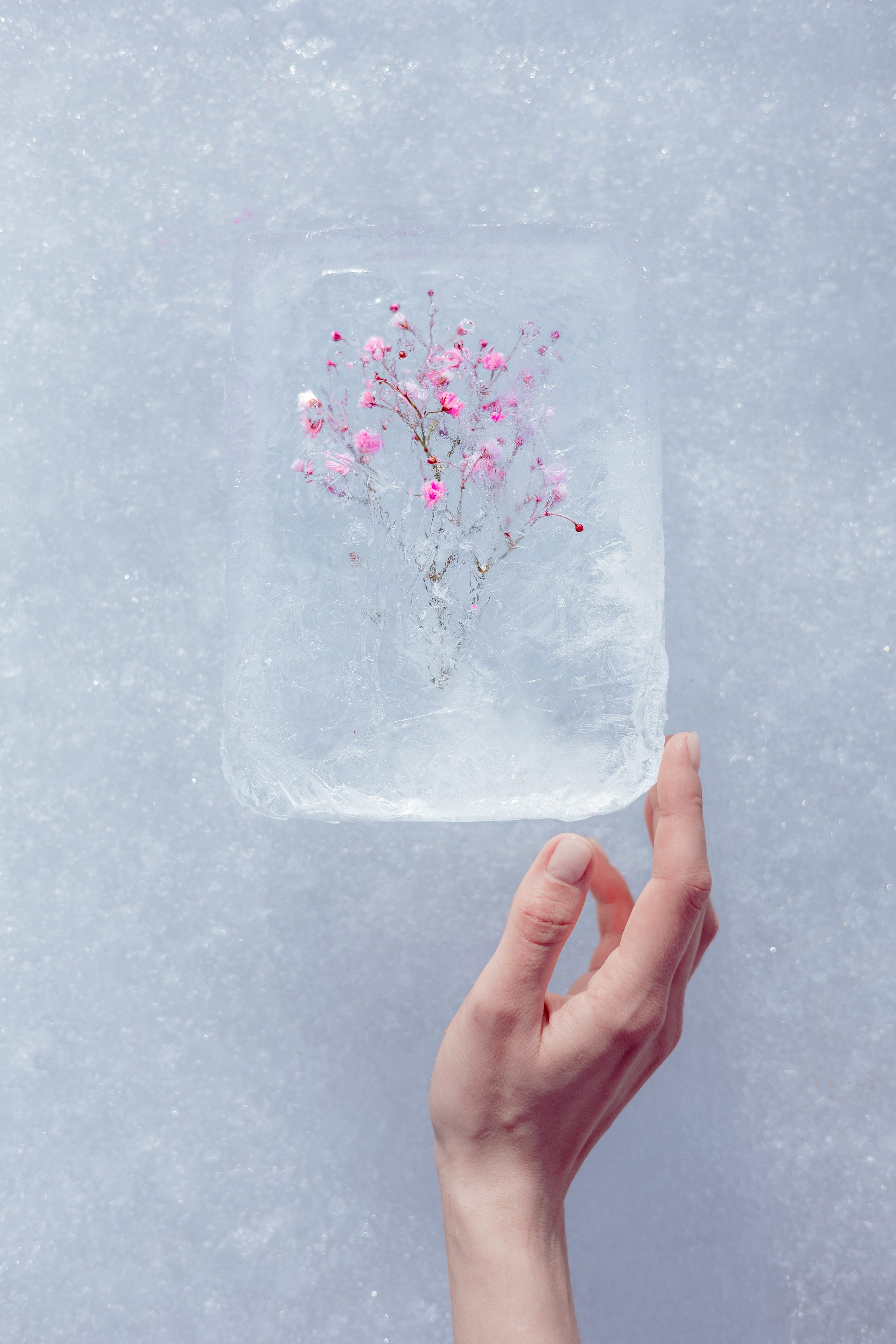 Пробуждение. Фотограф Алекс Май