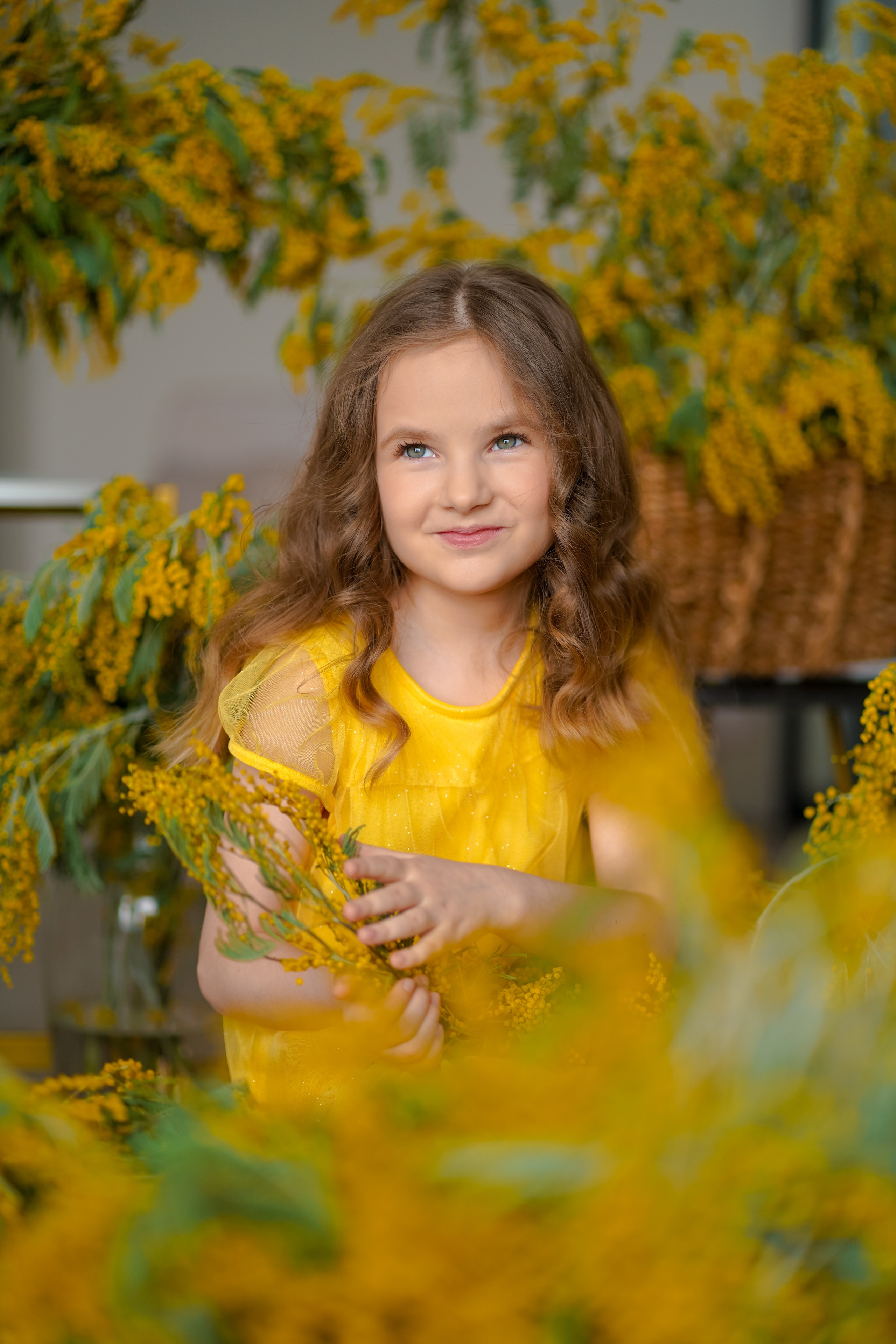 Мимоза. Фотограф Татьяна Митрофанова