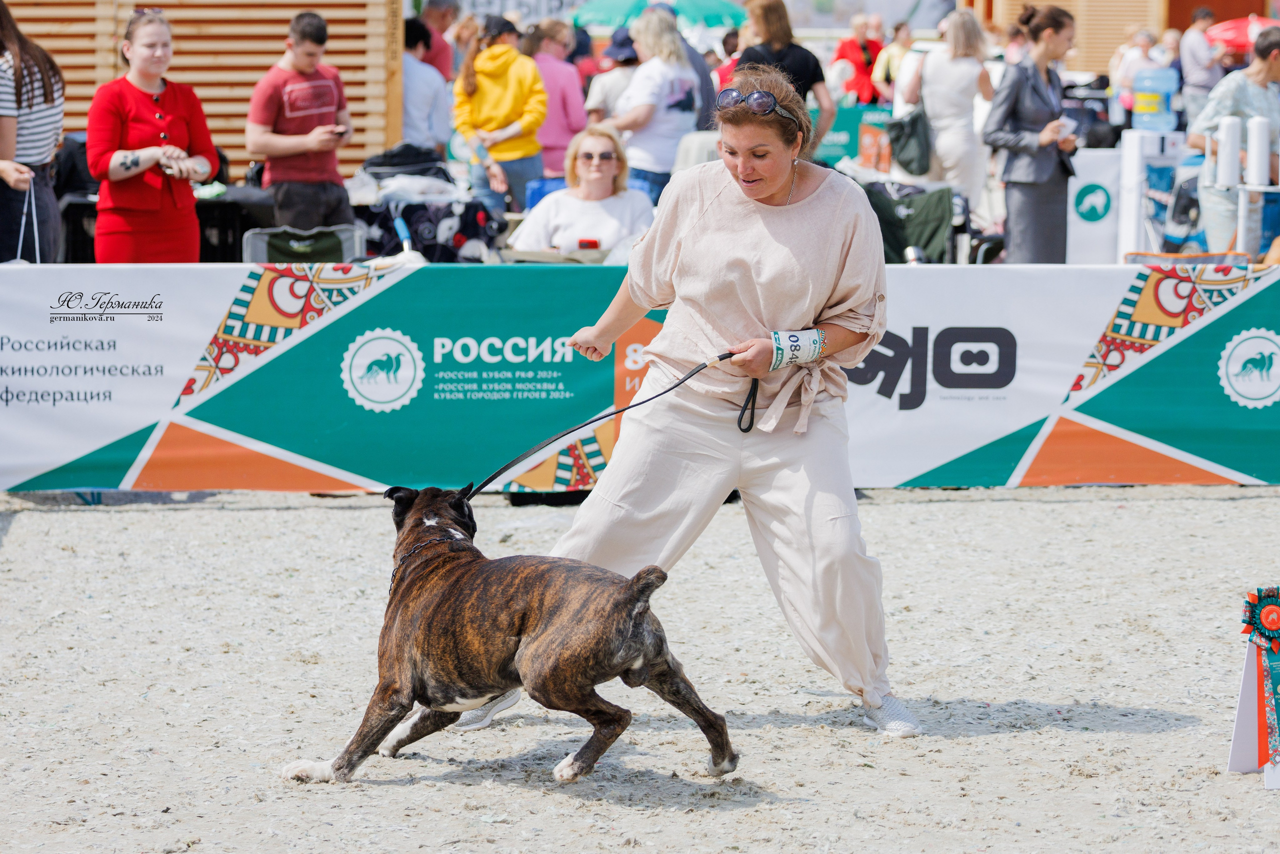РОССИЯ 8-9.06.2024. Фотограф-анималист Юлия Германика