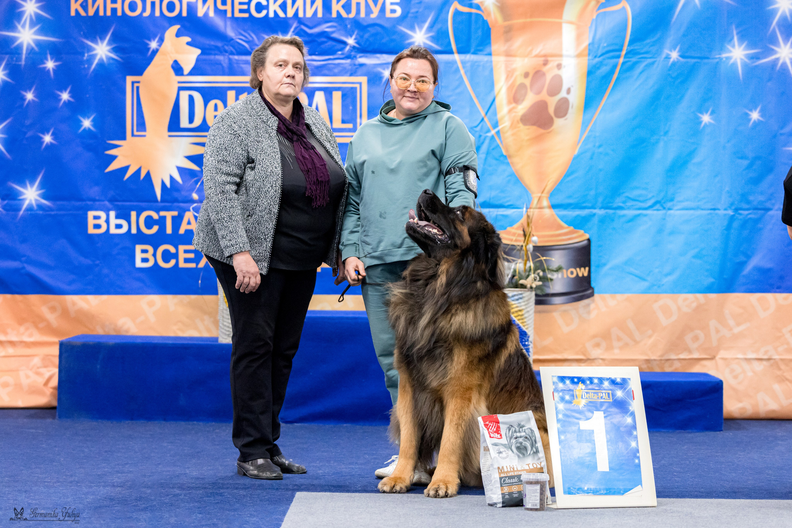 Сфера 29.10,Крокус 4.11,Сфера 12.11.2023. Фотограф-анималист Юлия Германика