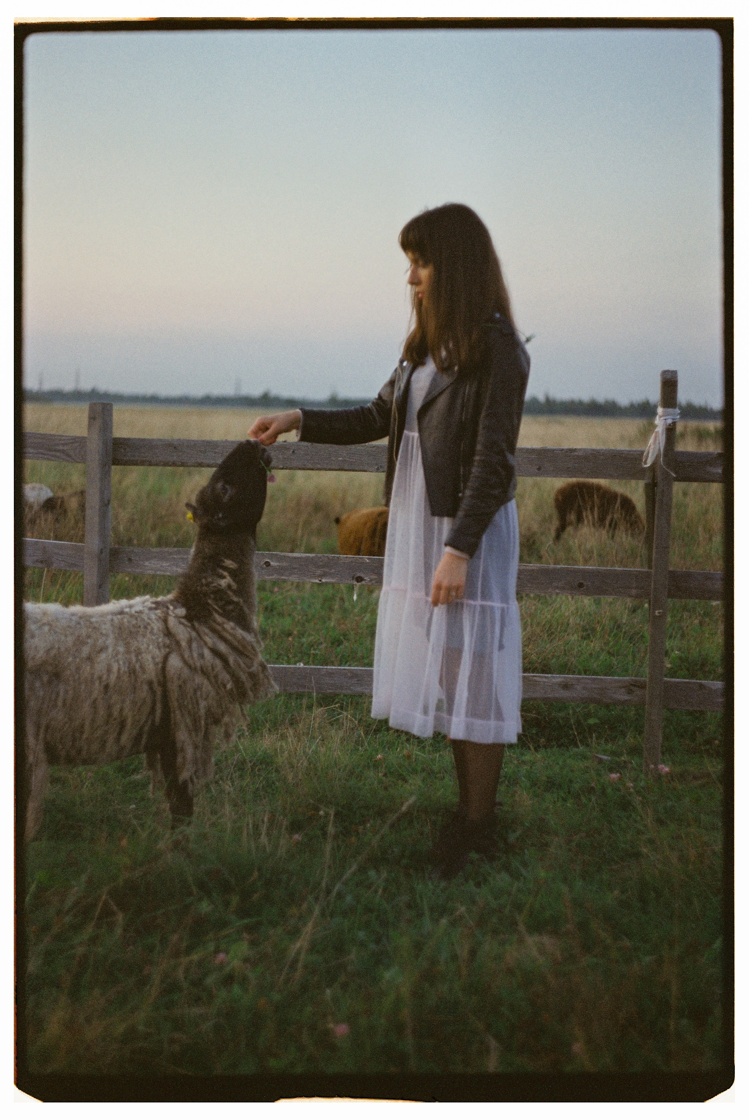 Портретная фотосессия на плёнку 35 мм на ферме в Санкт-Петербурге. Светлана Гопанюк. Портретный фотограф. Санкт-Петербург. СПб