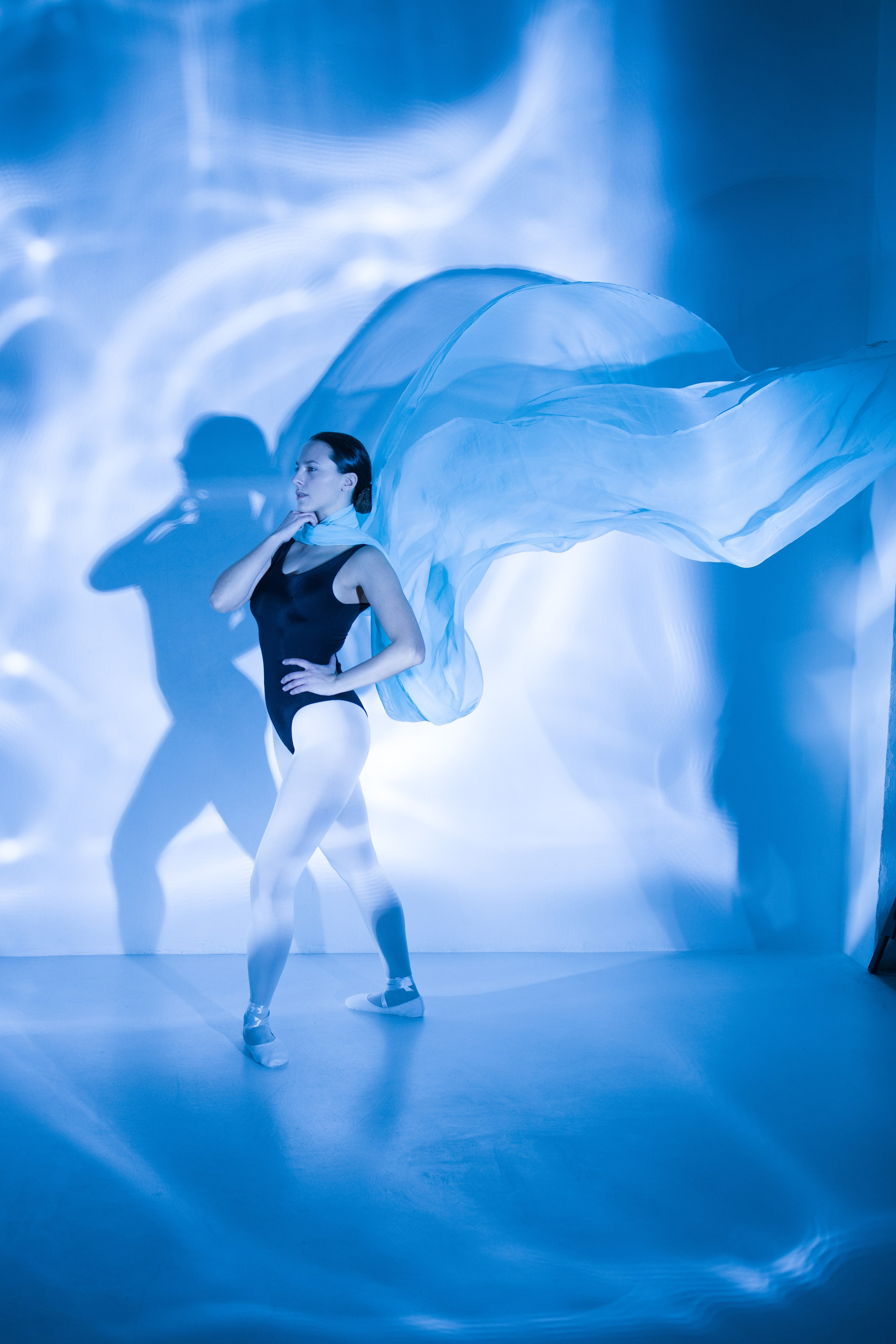 Лилия. Художественная фотография