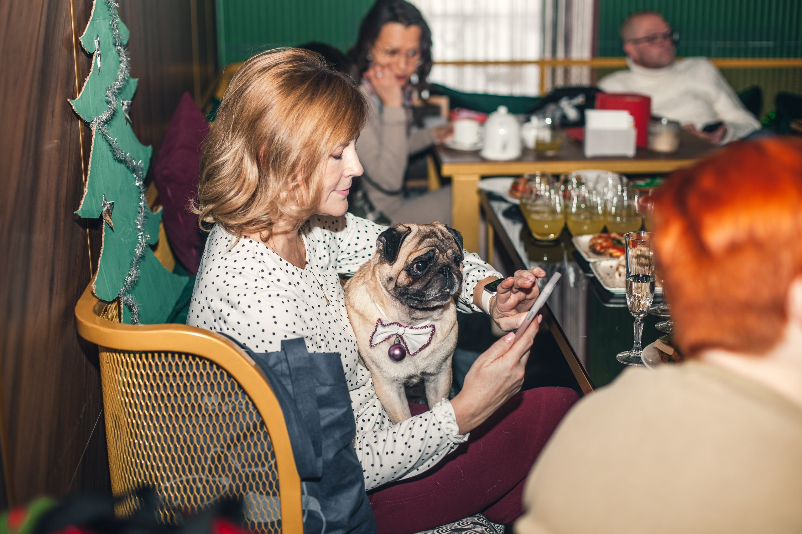 Мопсовстреча 02.12.2023. Фотограф-анималист Татьяна Степанова