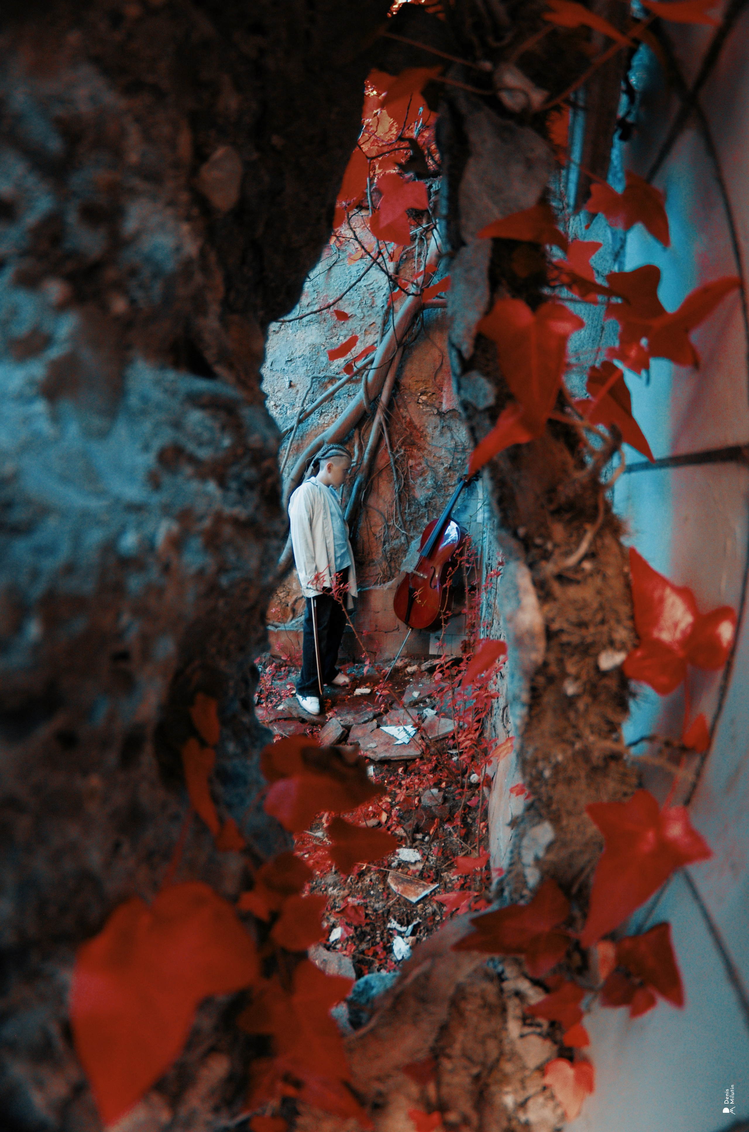 Виолончелист. Портретный фотограф Денис Милютин