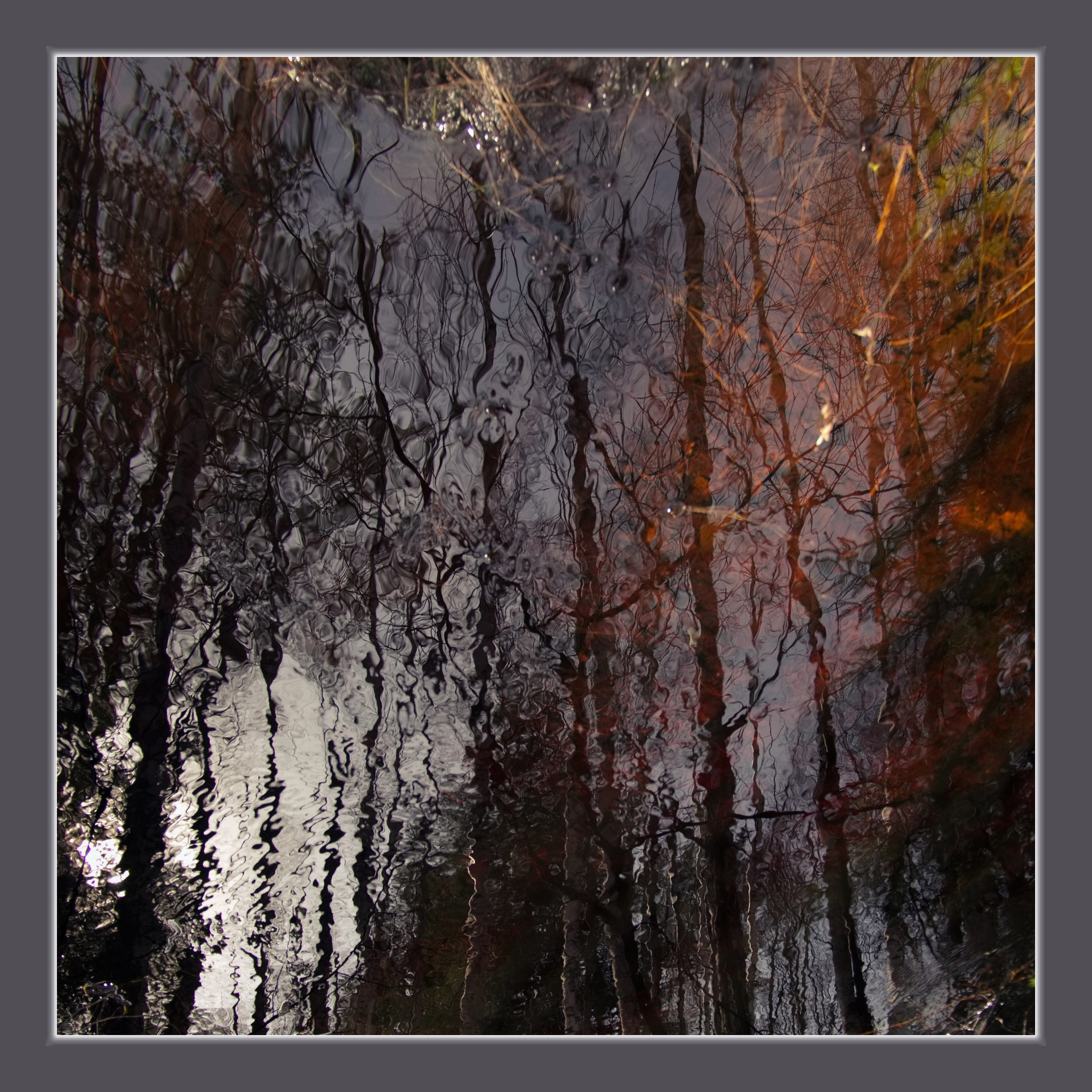 Фото отражение. Вадим Шейдин