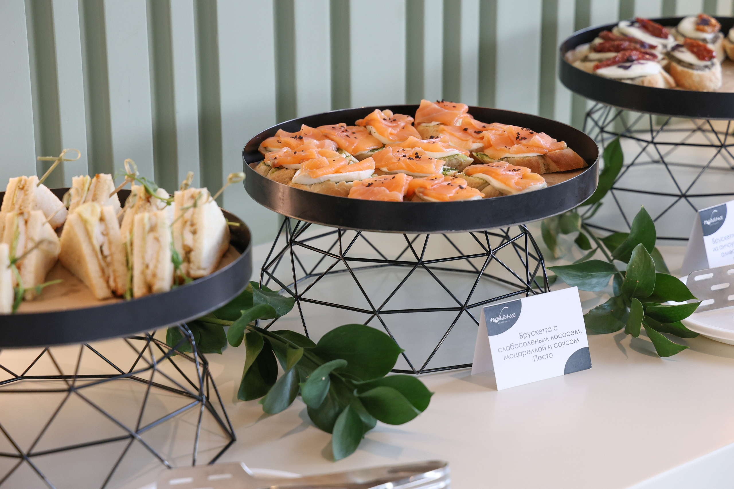 Кластер Ломоносов. Фотограф и видеограф — Москва