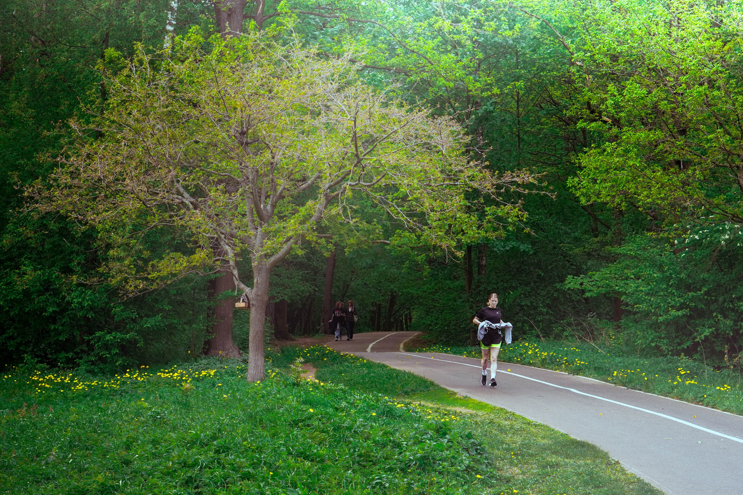 Уличная съёмка (2). Видео и Фото