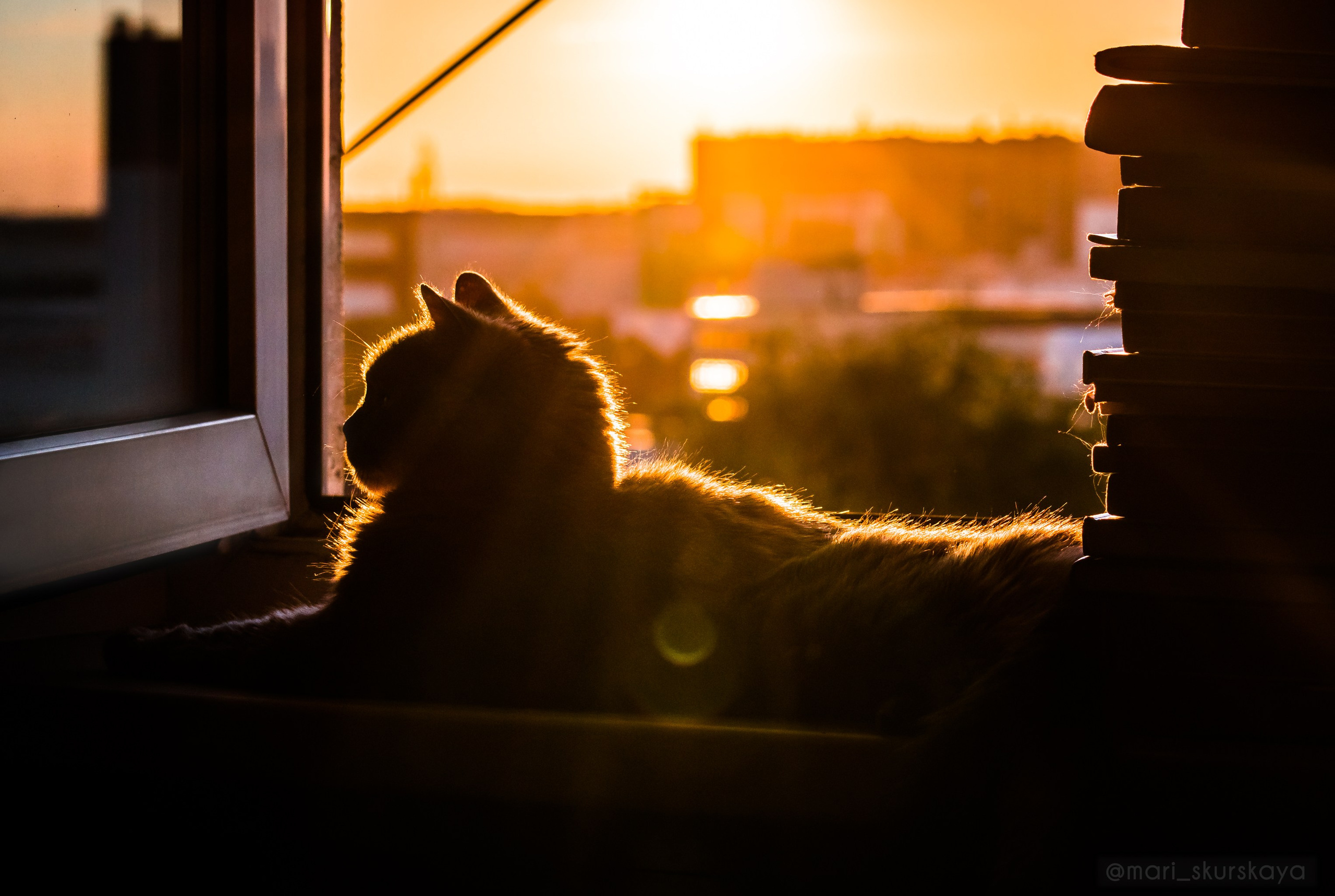 Закатный Санкт-Петербург. Мотофотограф в Санкт-Петербурге Мария Скурская