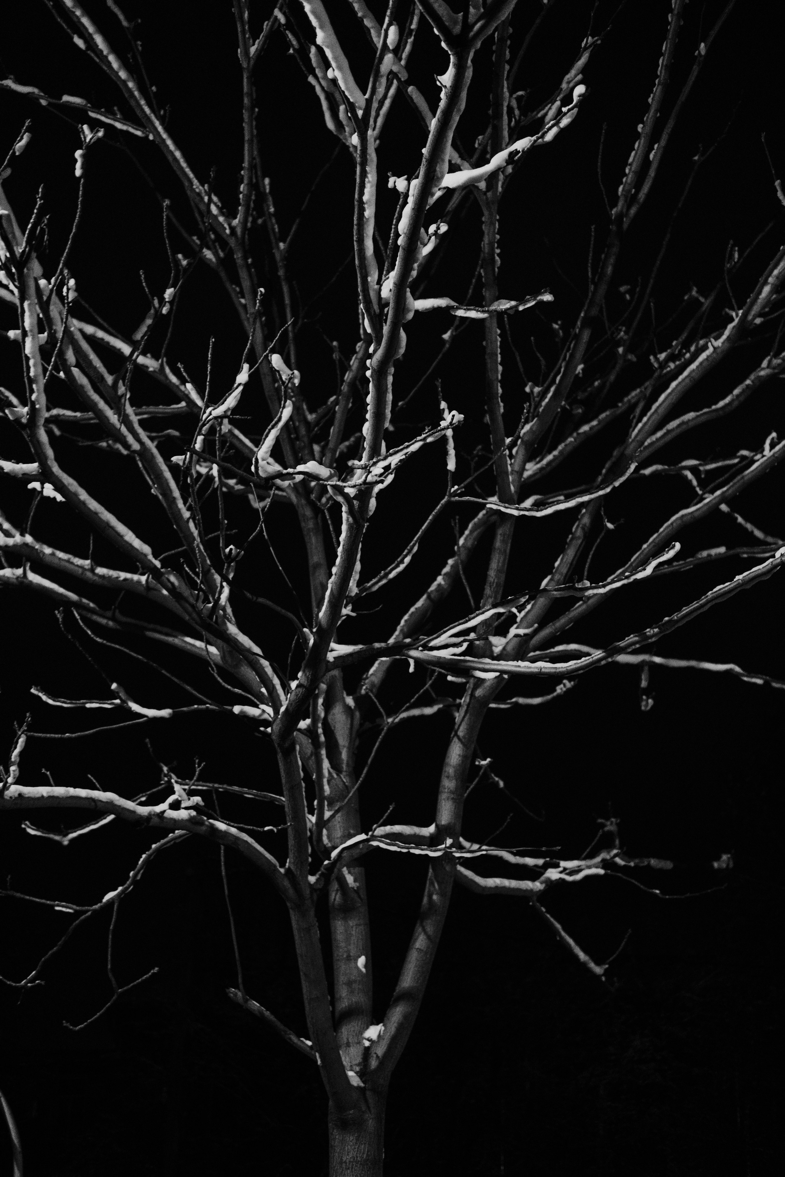 Дневник. Фотограф из Хакасии Элина Кичеева