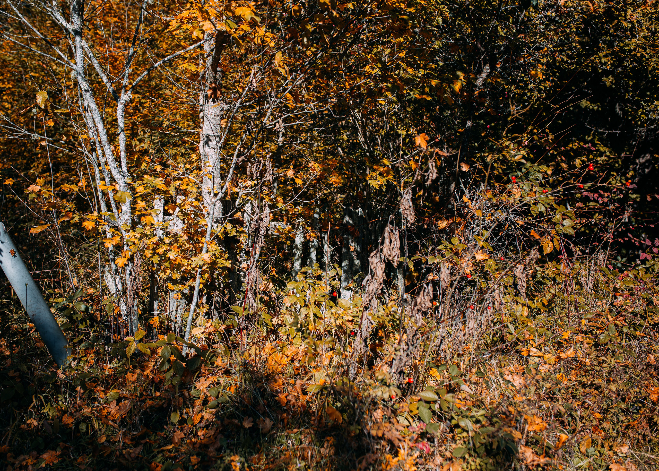 Никита и Оля. Фотограф в Приморско-Ахтарске Марьяна Чопко
