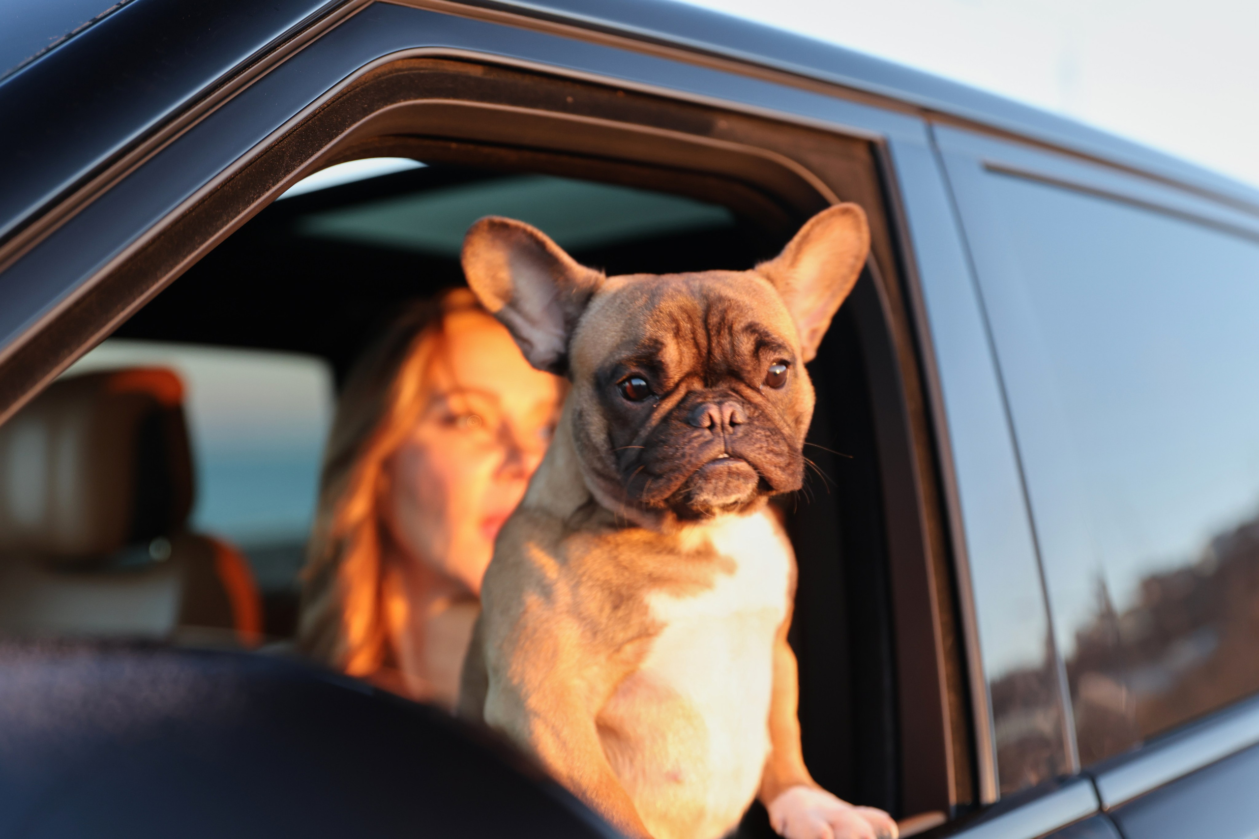 Прогулочные фотосессии. Фотограф Марина Калитина